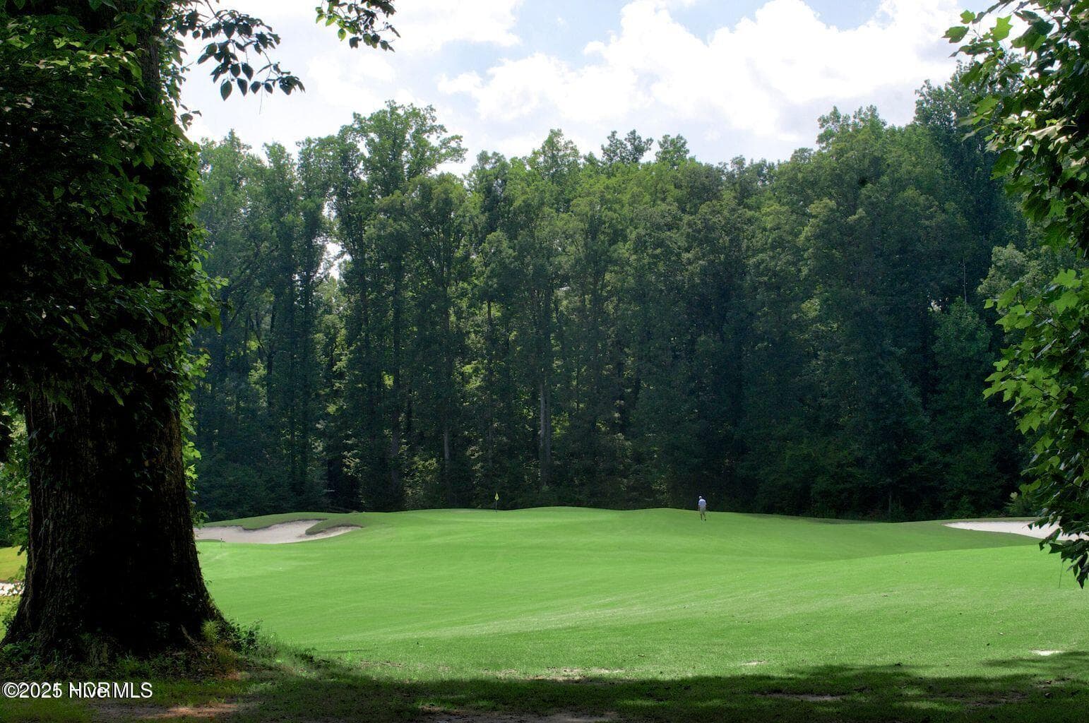 Residential Land at 43 Portland, Rocky Mount, NC 27804, photo 5 of 28