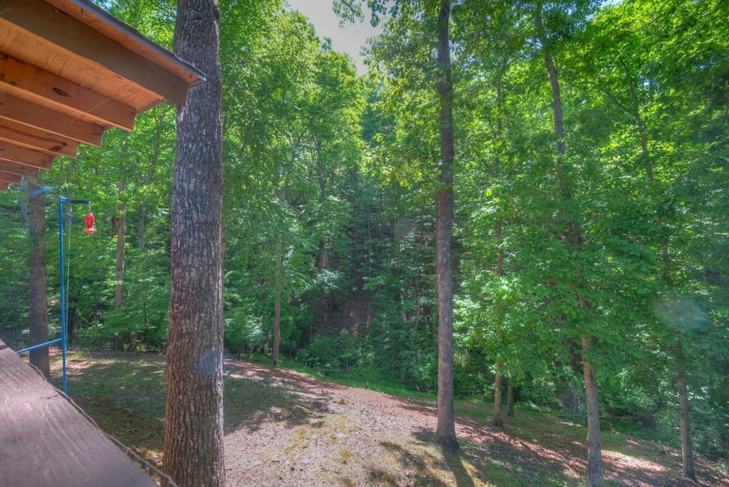 Single Family Residence at 256 Woods Drive, Murphy, NC 28906, photo 21 of 29