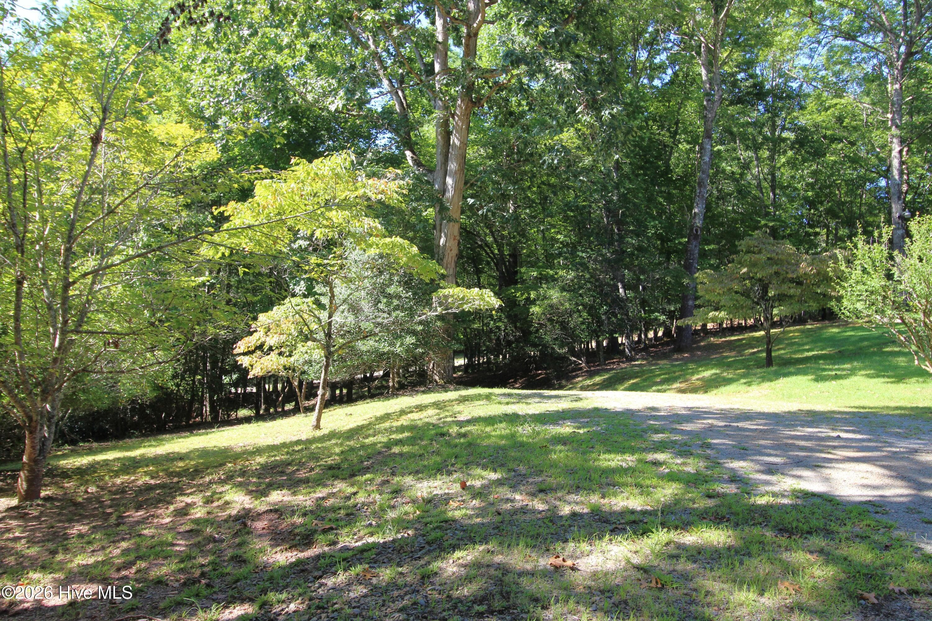 Yard - 46 Arthur Ridge, Brasstown, NC 28902