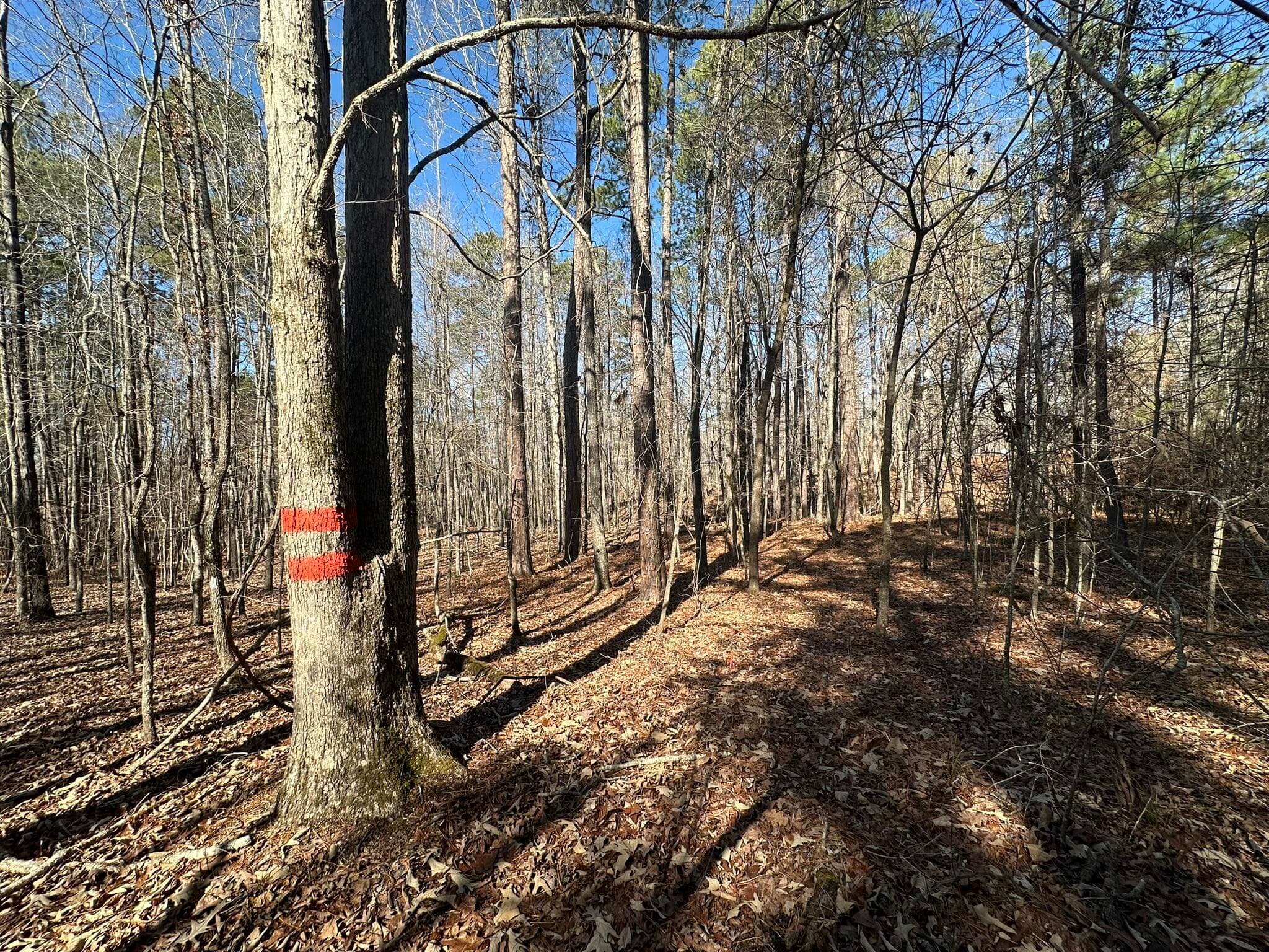Residential Lot at Lot 31 31 Willow Way, Lincolnton, GA 30817, photo 9 of 24