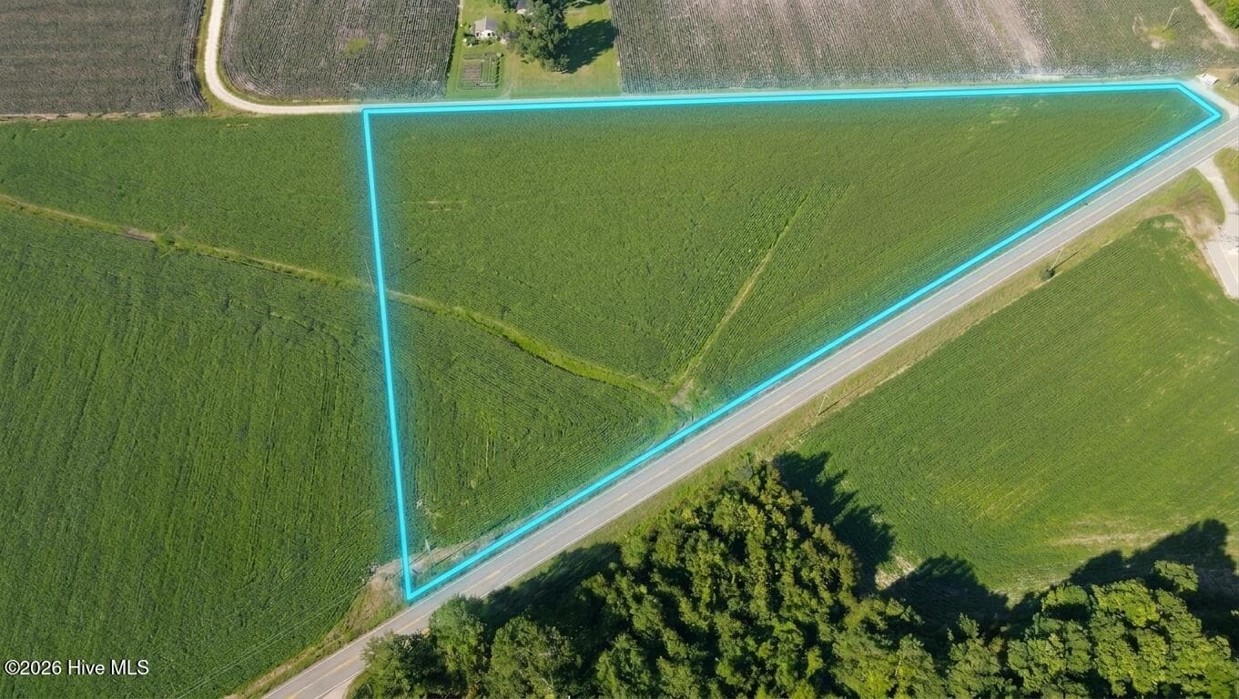 Undeveloped at Lot 5 Red Oak Battleboro Road, Battleboro, NC 27809, photo 3 of 6