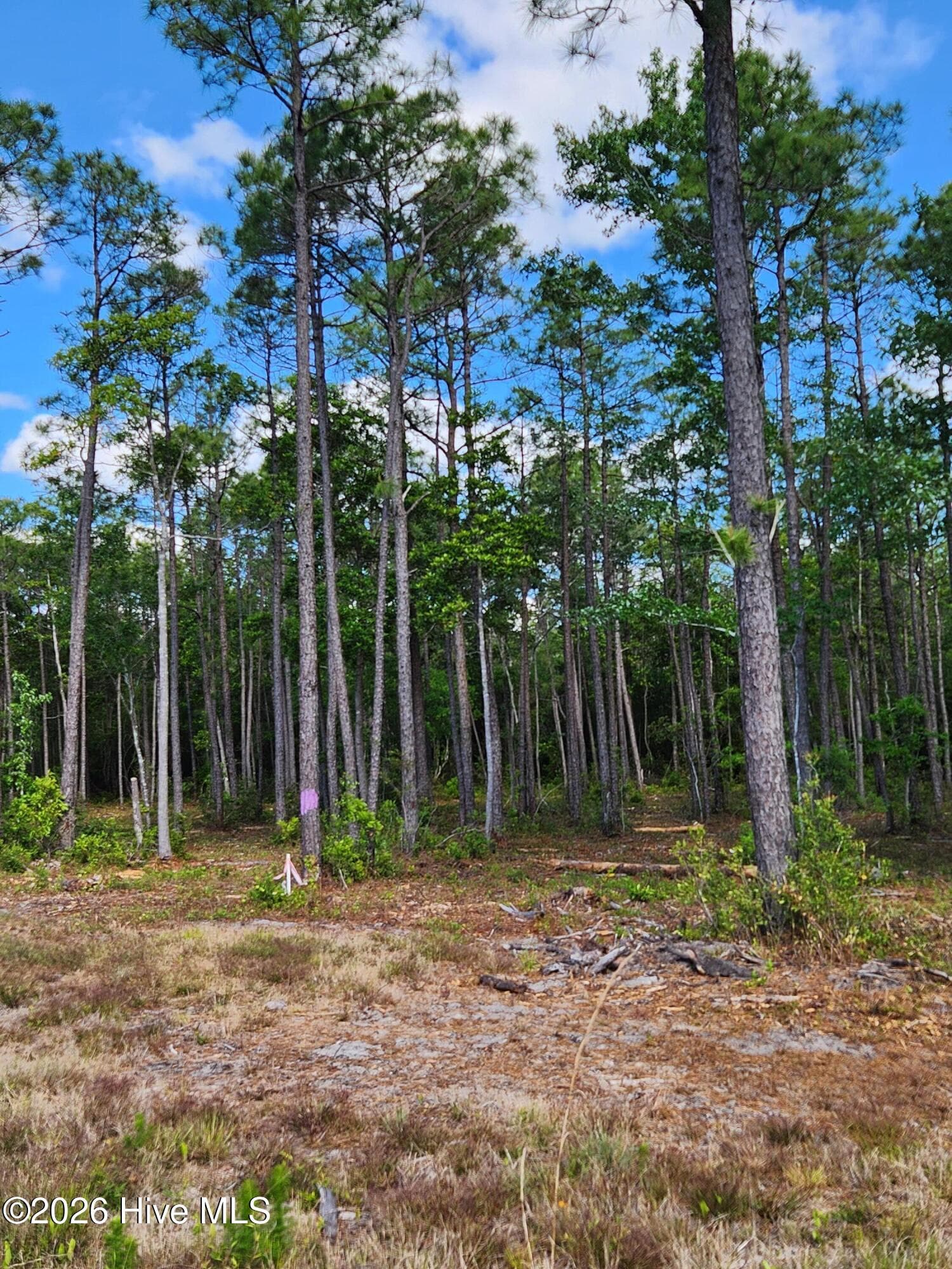Undeveloped at 372 Greenview Ranches, Wilmington, NC 28411, photo 22 of 61