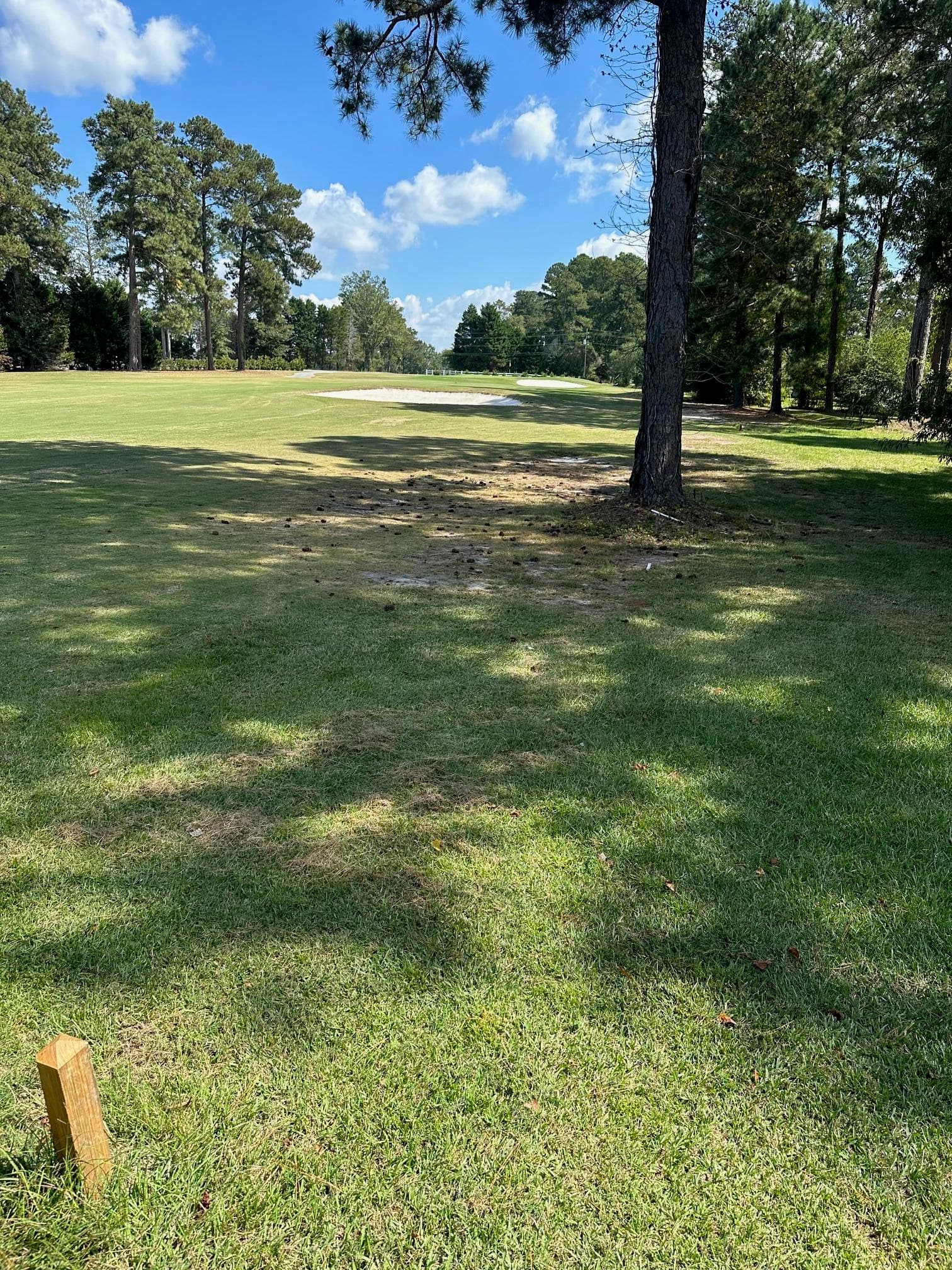 000 NW South Lake Drive, Thomson, GA 30824