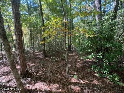 Residential Lot at Lot 1 1 Laurelwood Circle, Murphy, NC 28906, photo 9 of 24