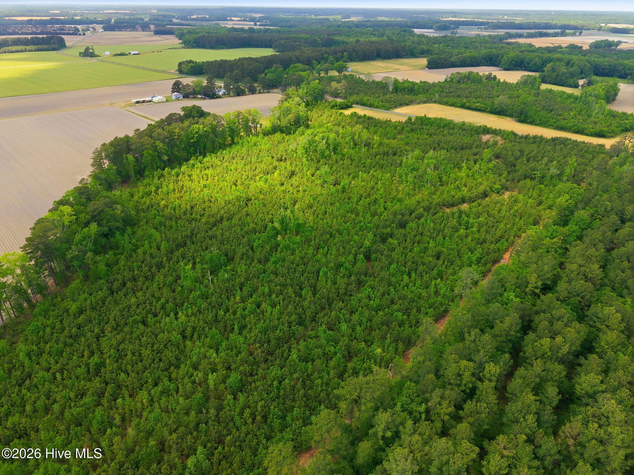 Residential Lot at 2733 Jim Taylor Road, Stokes, NC 27884, photo 8 of 10