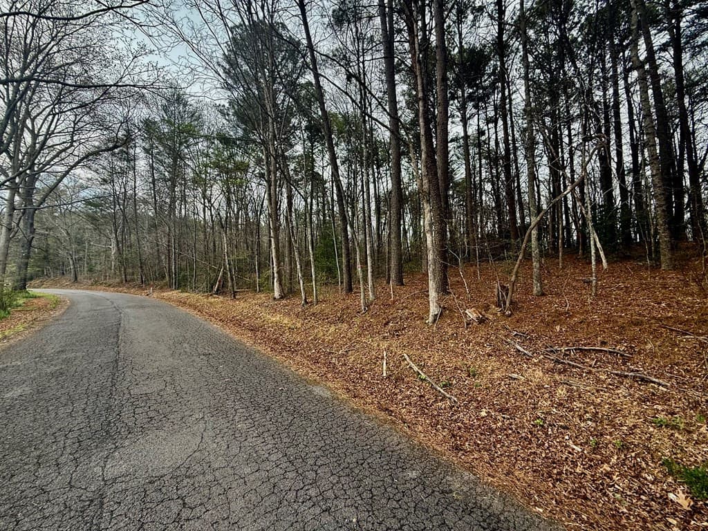 0 Tennessee 68, Turtletown, TN 37391