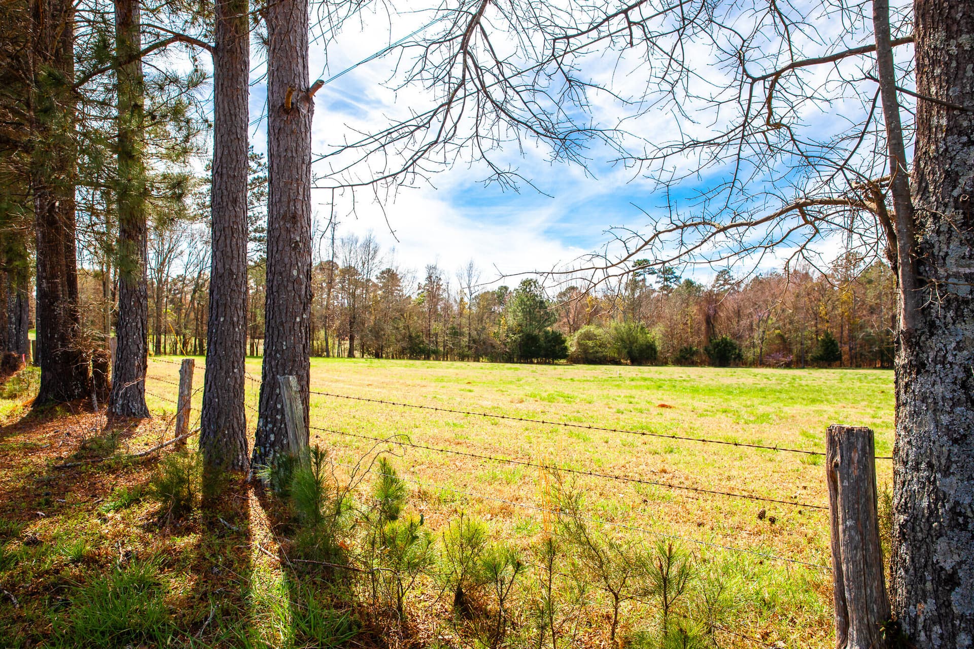 Undeveloped at 3520 3 Mistletoe Rd Road, Appling, GA 30802, photo 10 of 12