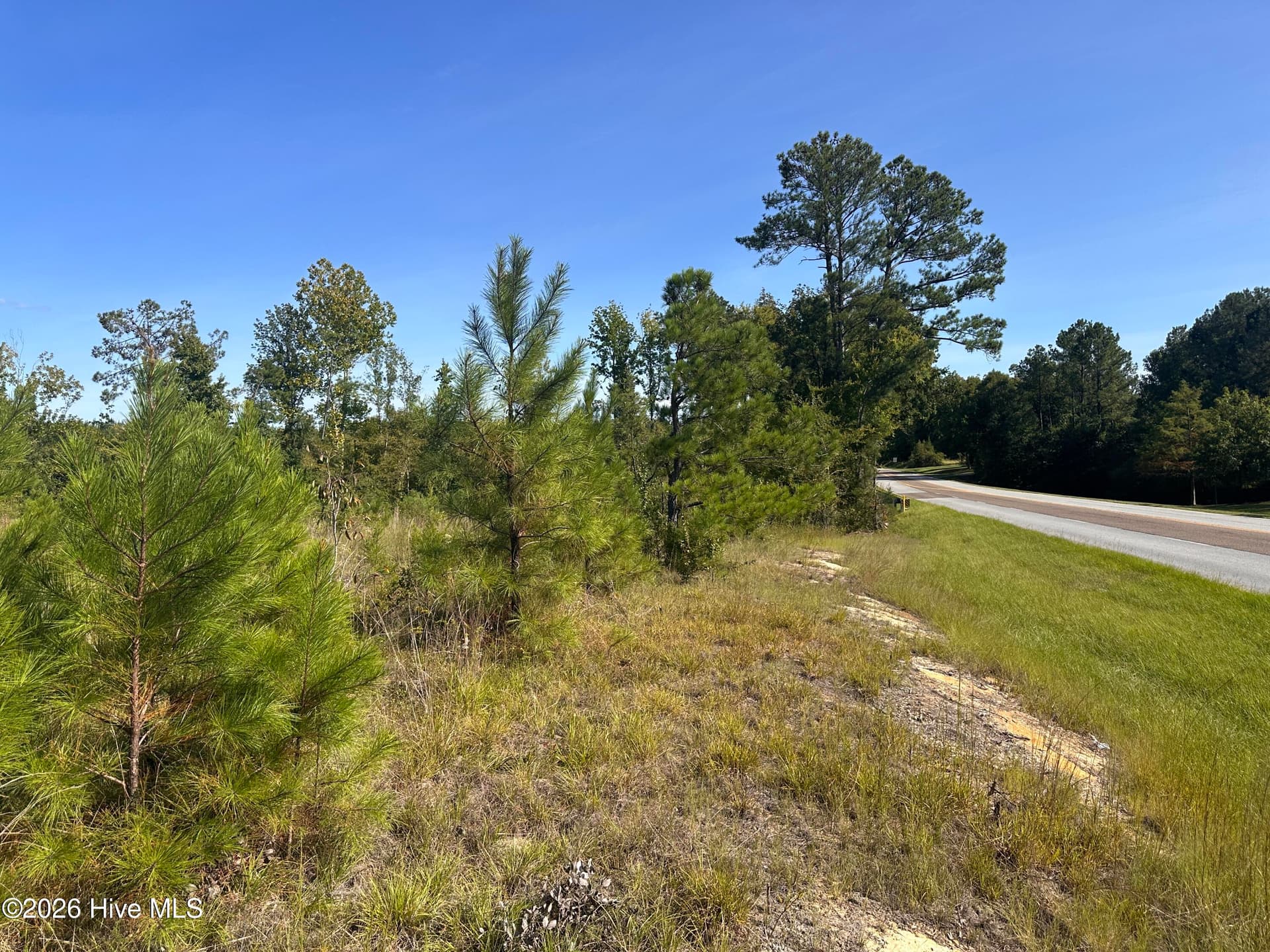 Mixed Use at Hwy 139 And Hwy 28 Old Plum Branch Rd S, Plum Branch, SC 29845, photo 3 of 8