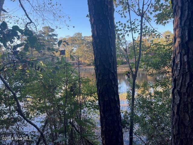 Wooded at 408 Lot 4, Block F, Lake Pines Drive, La Grange, NC 28551, photo 4 of 12