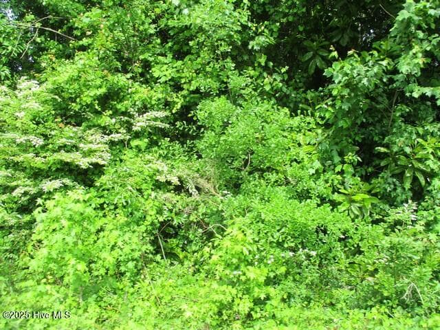 0 1 Airport Road, Garland, NC 28441