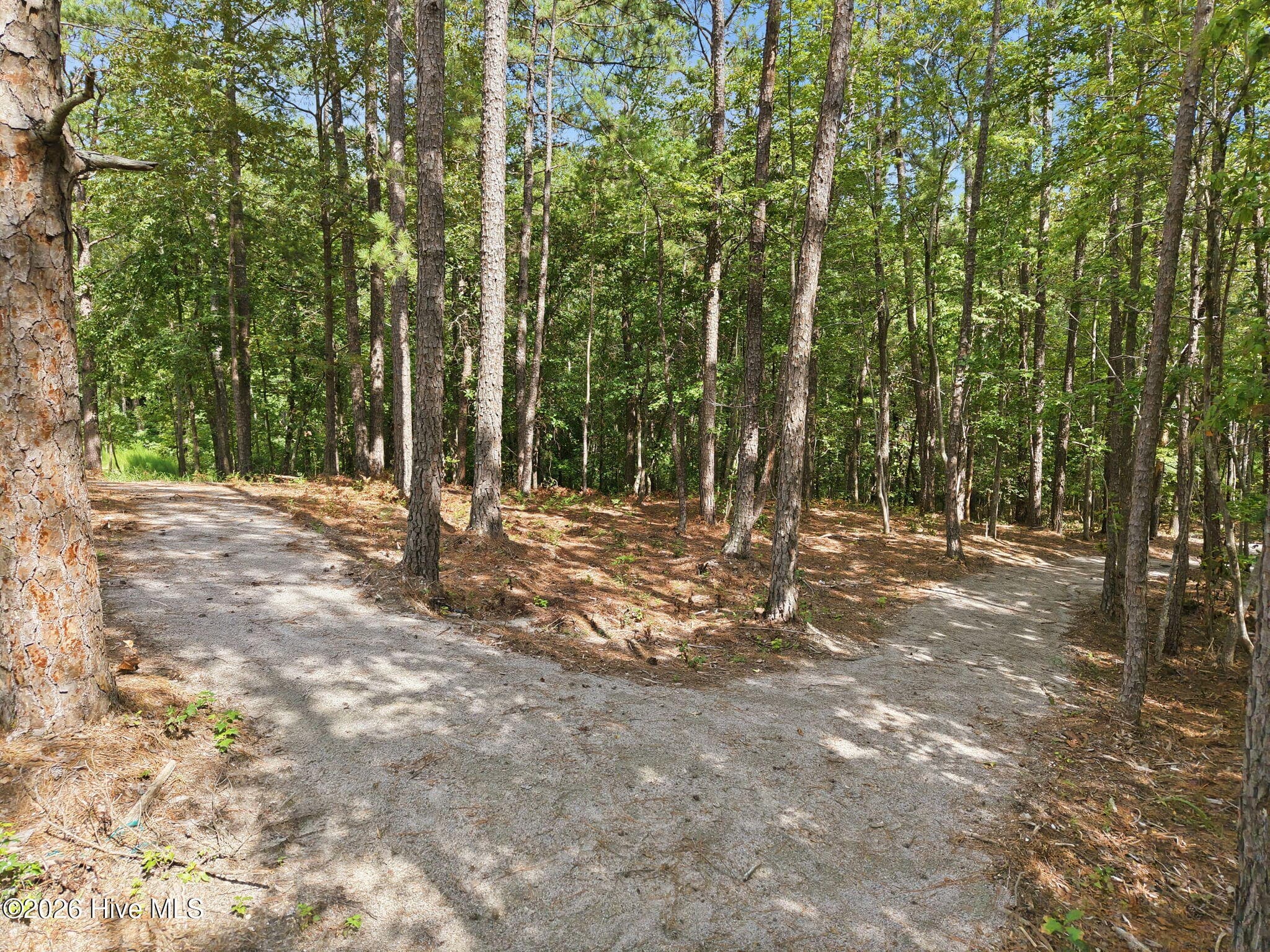 Single Family Residence at 297 Elijah Way, Vass, NC 28394, photo 63 of 64