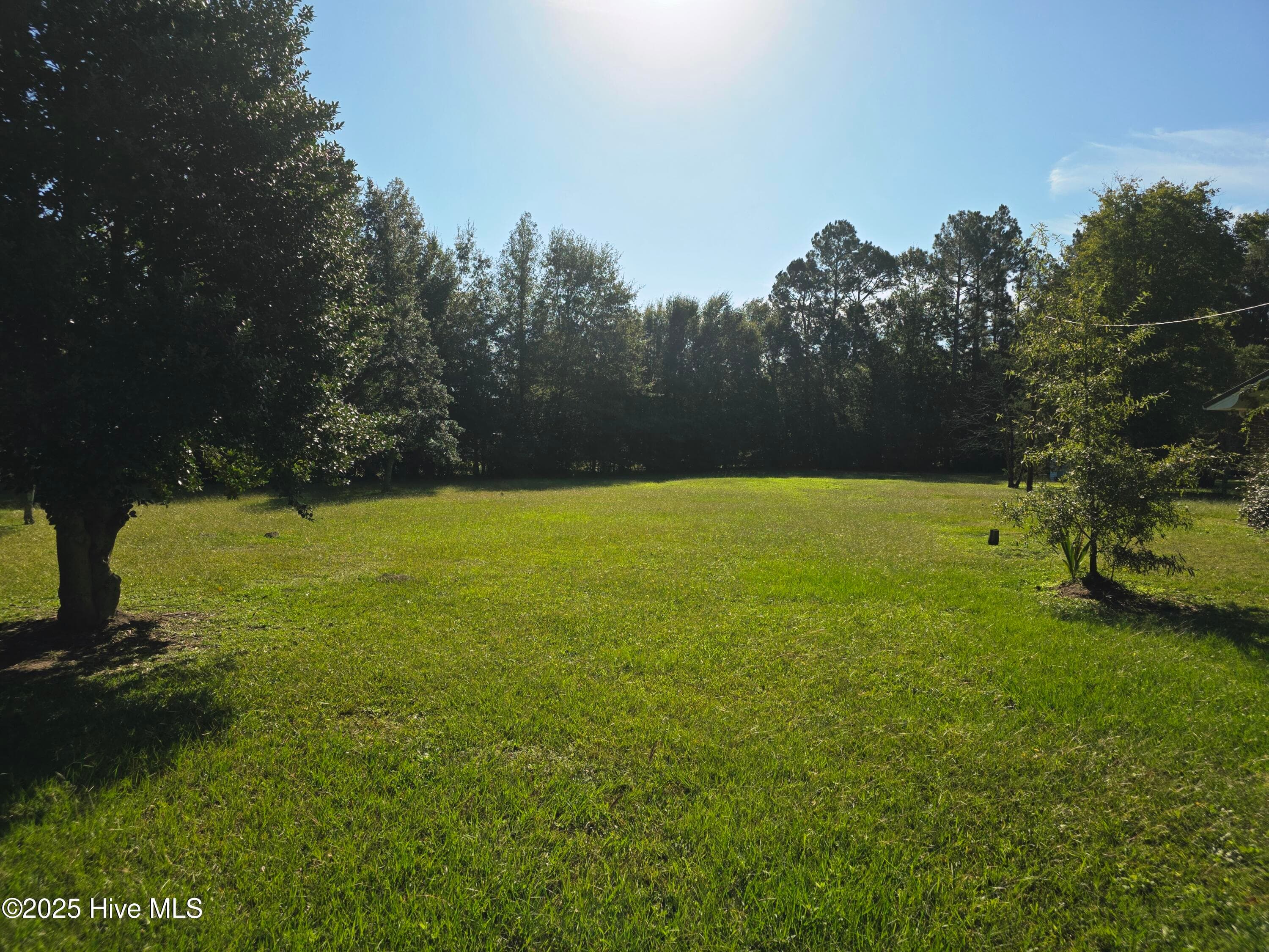 205 Bruce Street, Fair Bluff, NC 28439