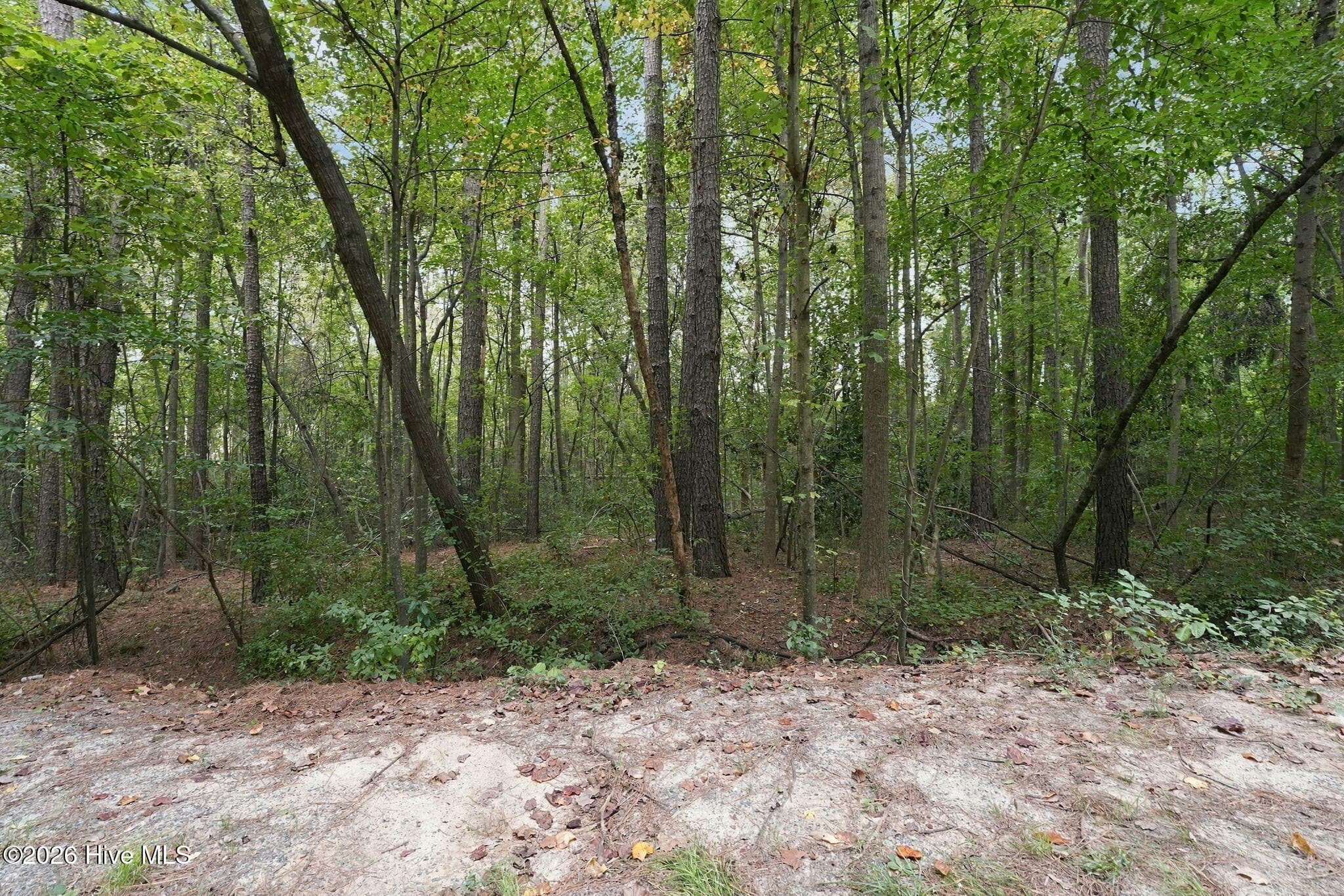 134 Bellhaven Drive, Carthage, NC 28327