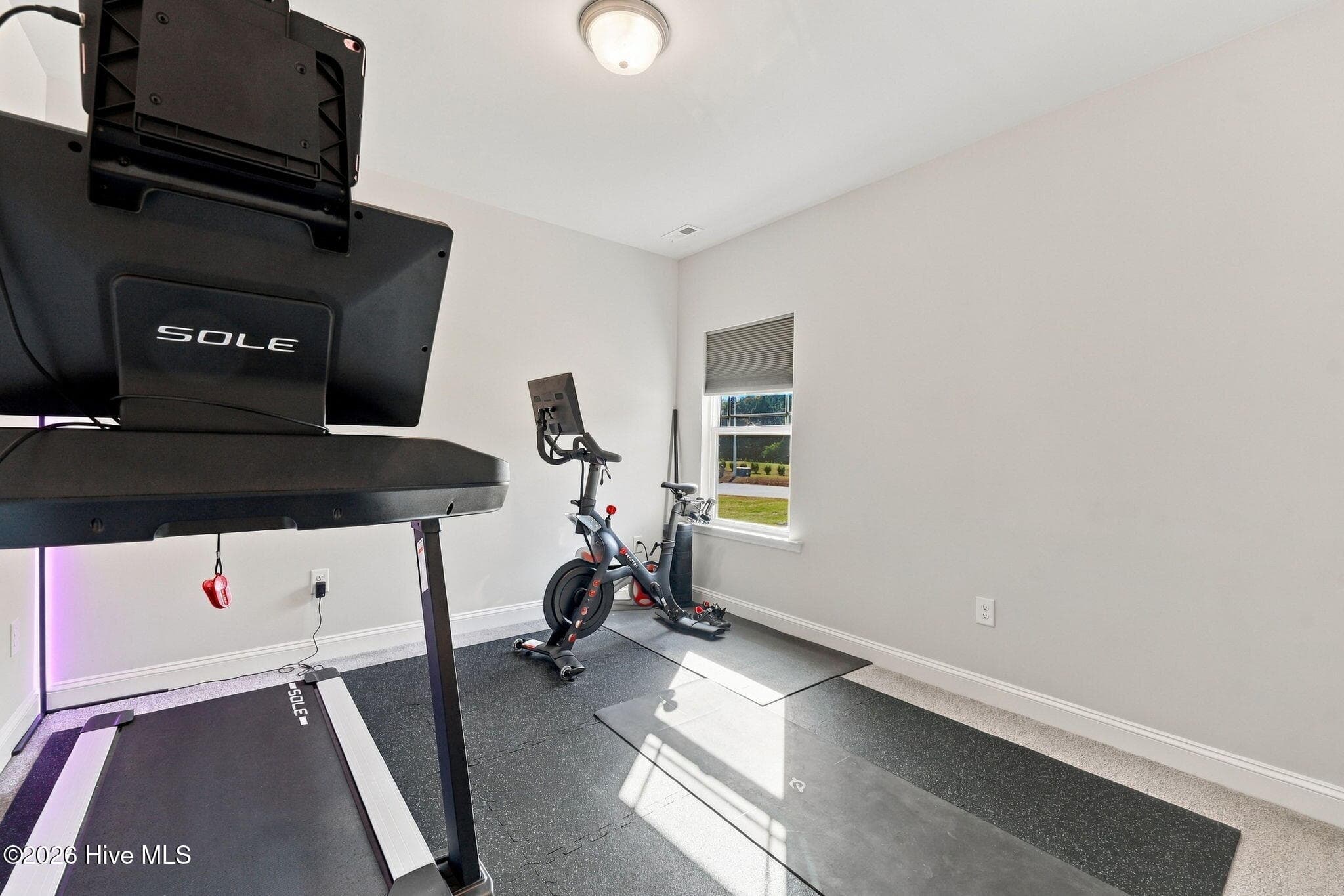 Guest Bedroom/Flex Room - 303 Hadley Drive, La Grange, NC 28551