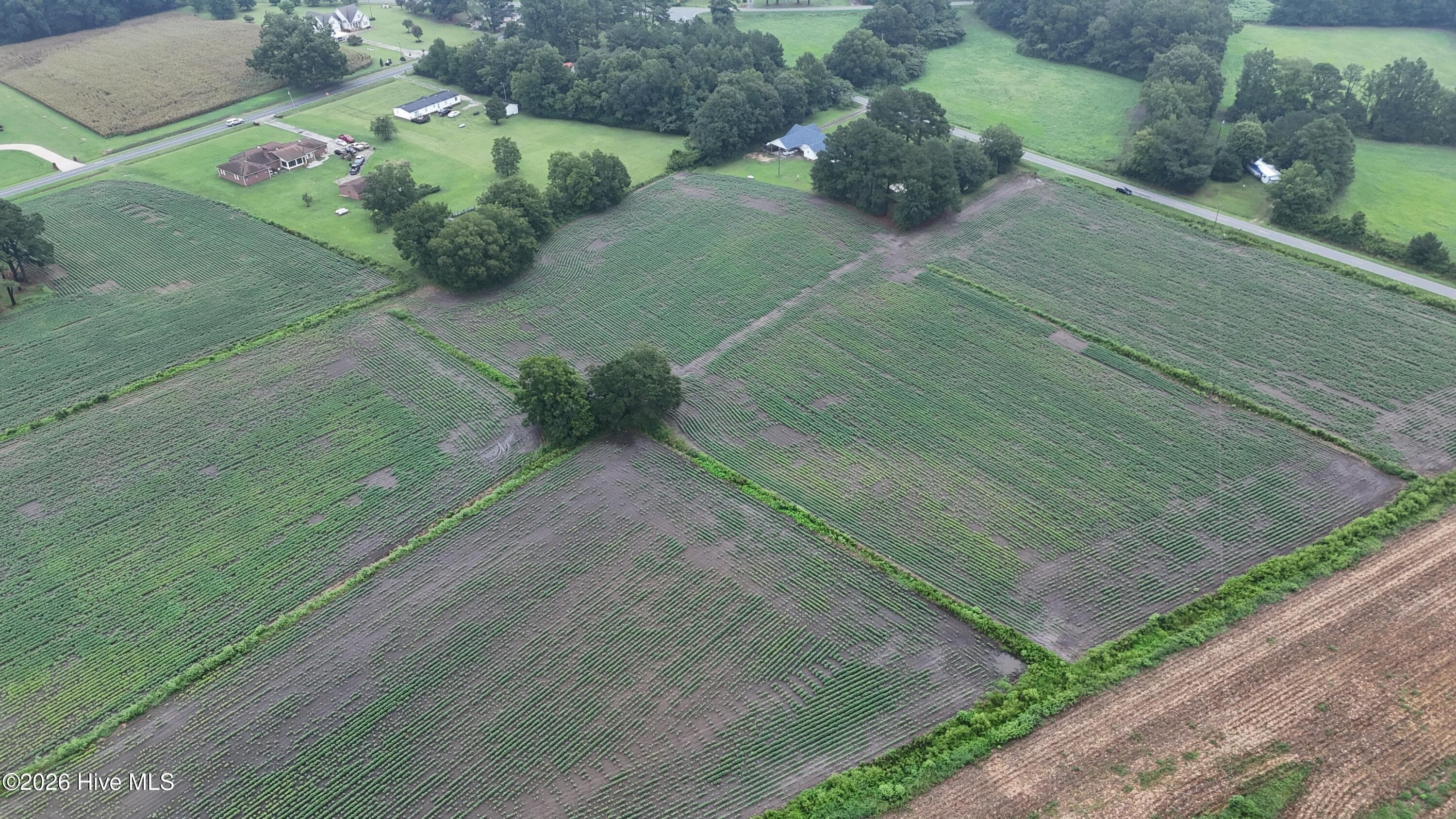 Agriculture at Near 128 Bay Rd., Rose Hill, NC 28458, photo 10 of 21