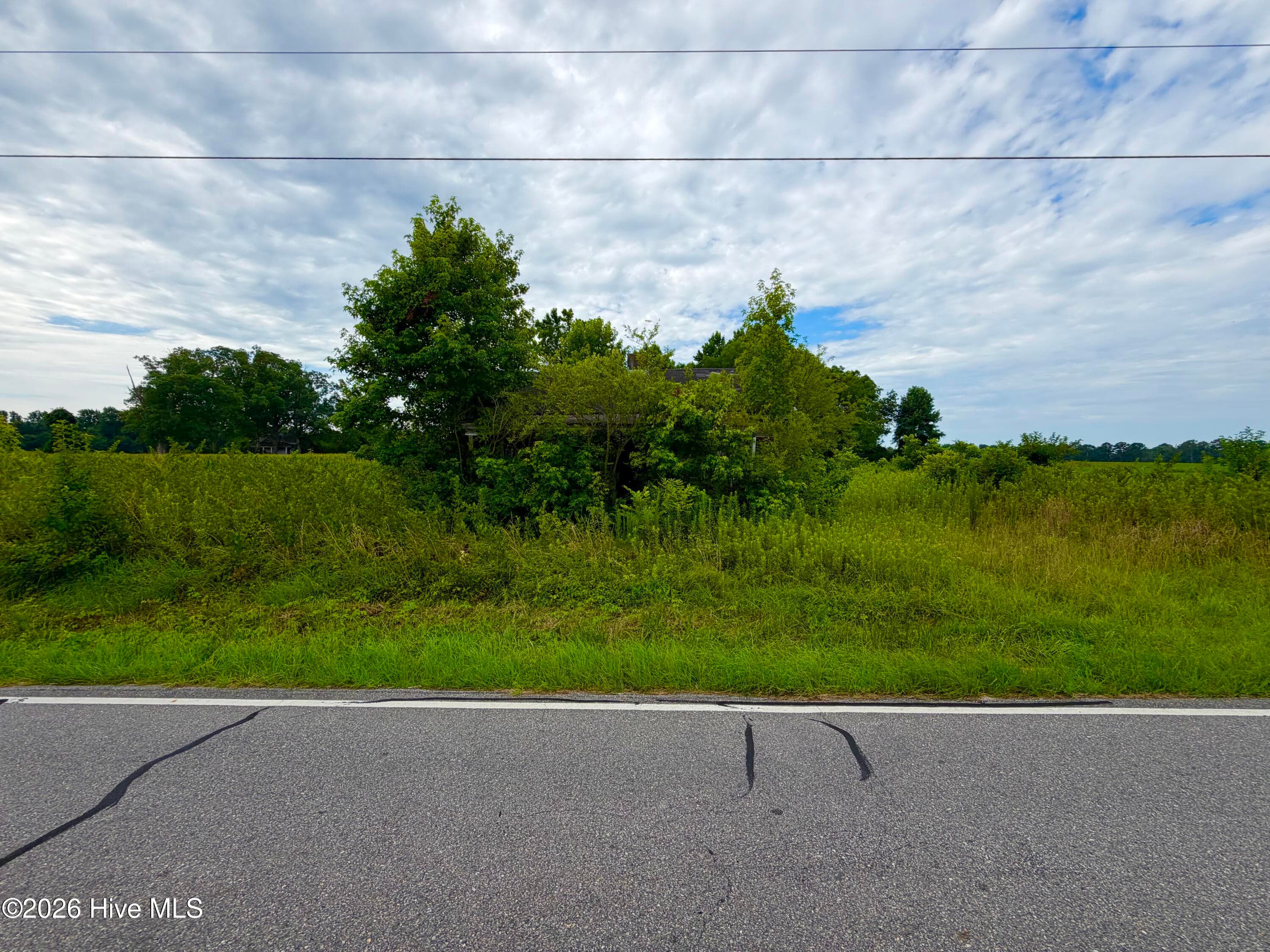 Farm at 478 Davis Mill Road, Fremont, NC 27830, photo 17 of 21