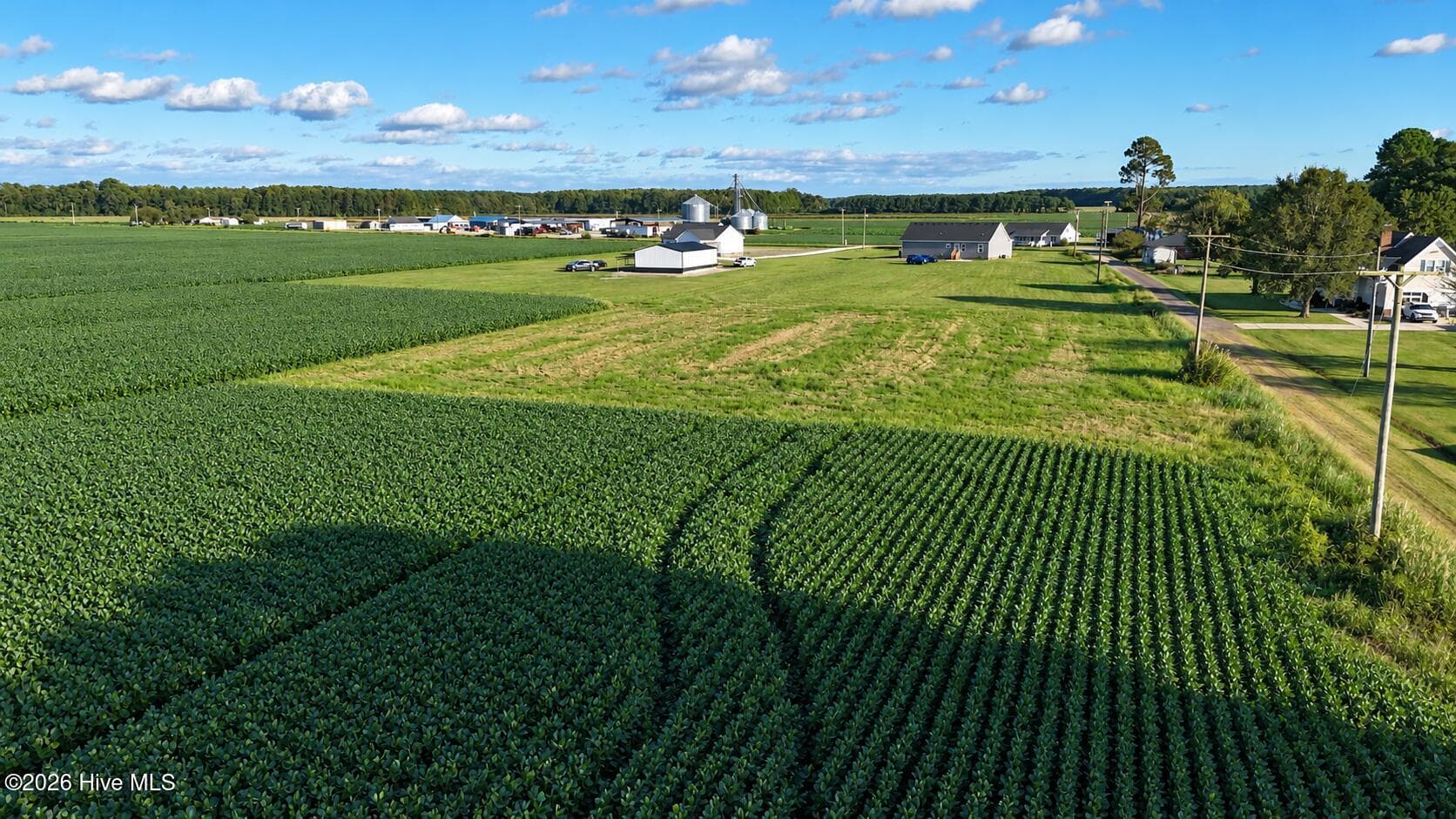 Agriculture at 617 1 Meadstown Road, Elizabeth City, NC 27909, photo 8 of 14