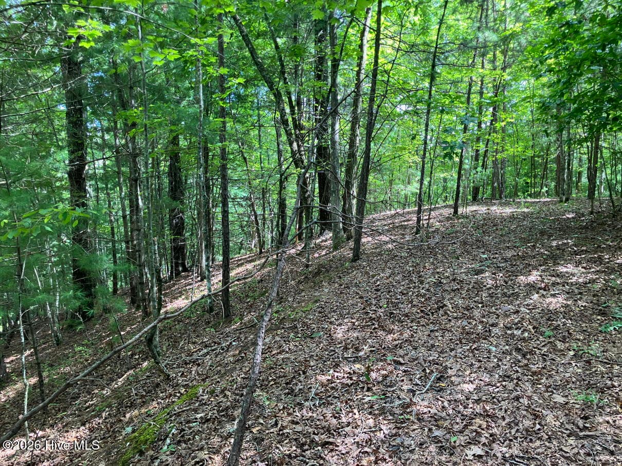 Undeveloped at 11 11 Green Cove Circle, Murphy, NC 28906