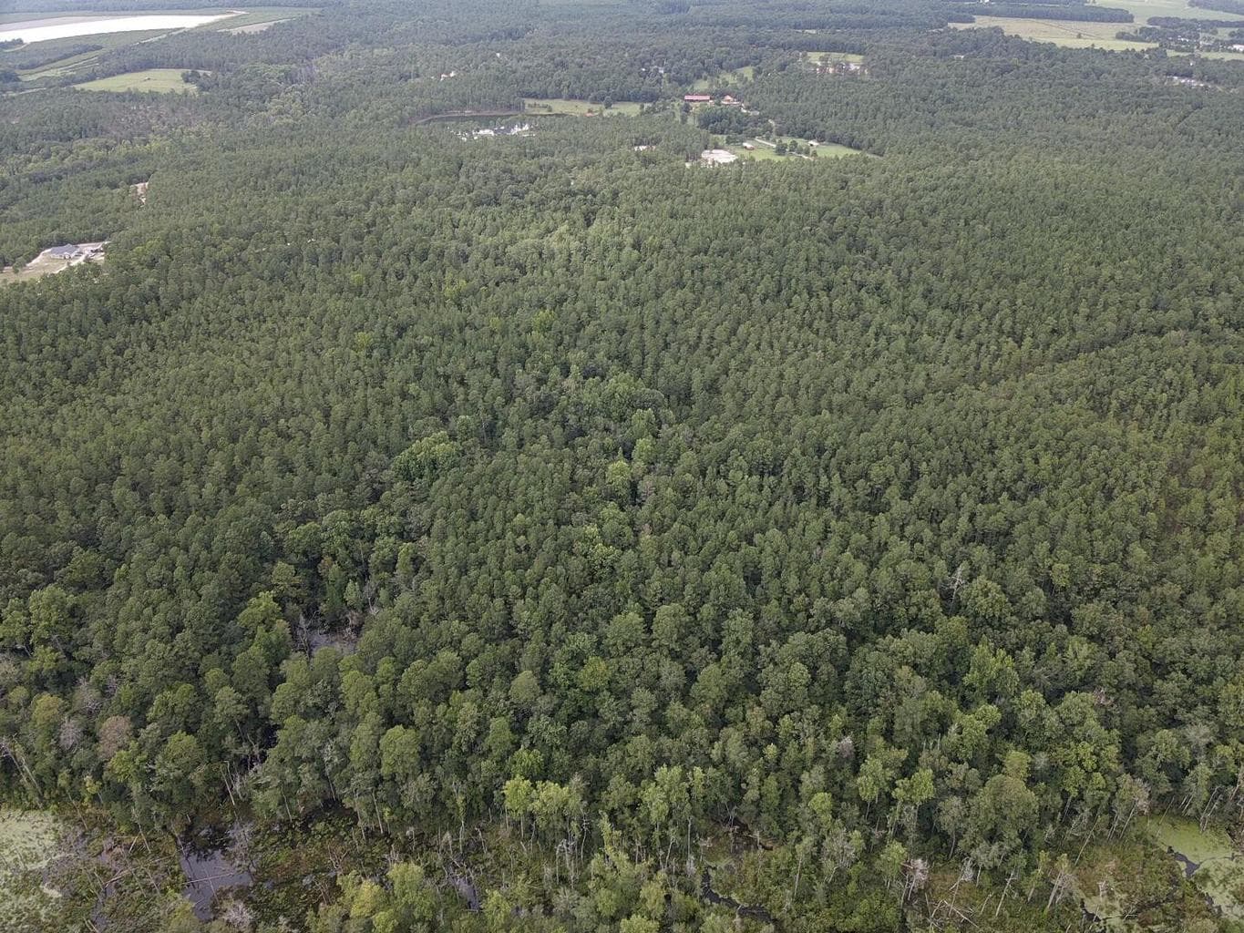 Undeveloped at Tbd Johnston Highway, Trenton, SC 29847, photo 4 of 7