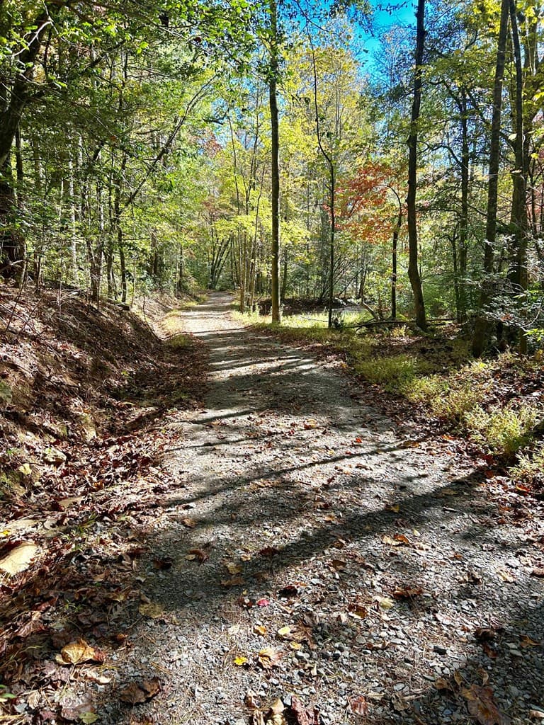 Land at Lot 6 Beaverdam Loop, Murphy, NC 28906, photo 2 of 2