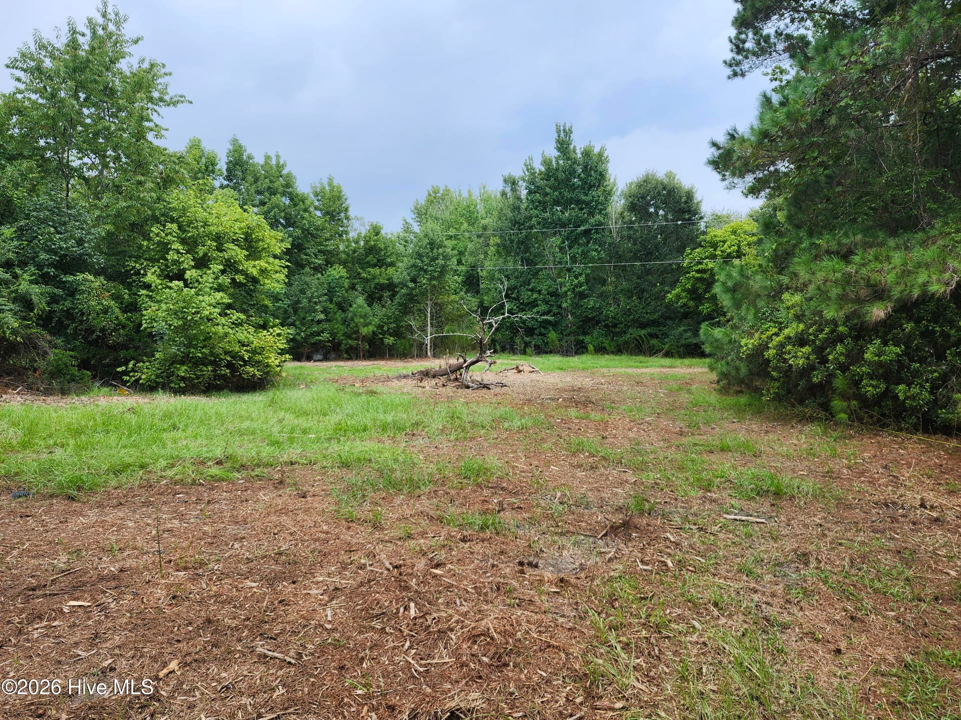 Wooded at 306 16 Revised Howards Landing Road, Hampstead, NC 28443, photo 11 of 17
