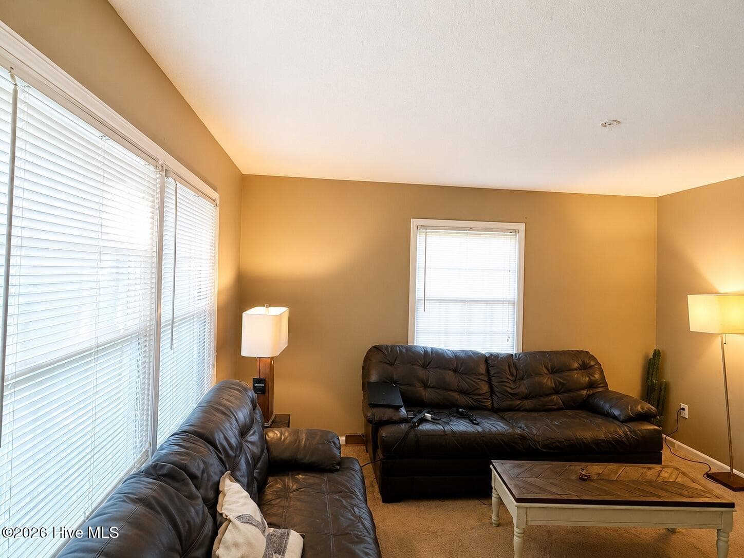 Single Family Residence at 3229 Bennett Siler City Road, Bennett, NC 27208, photo 13 of 24