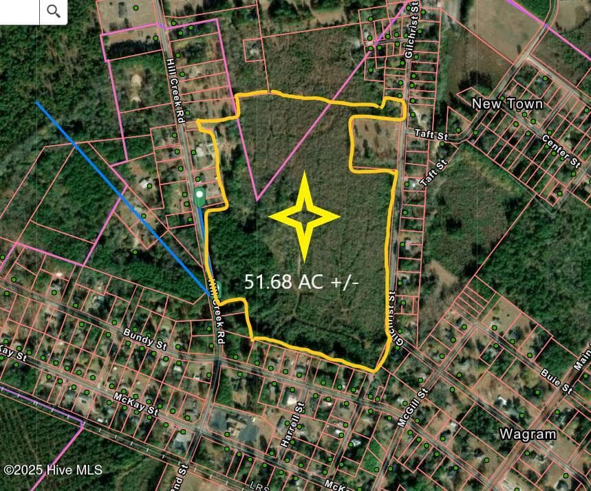 Tbd Hillcreek Road, Wagram, NC 28396