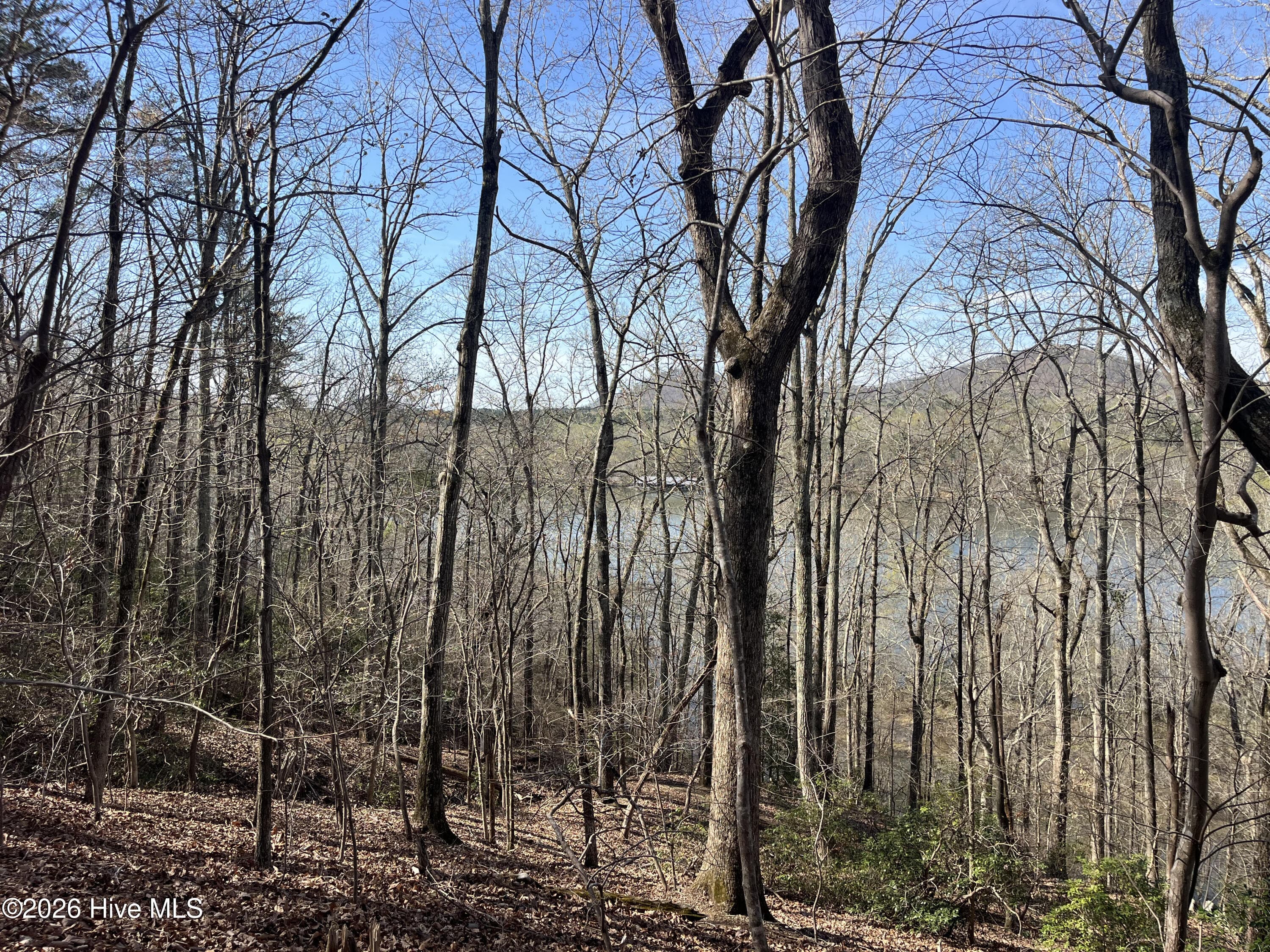 Undeveloped at Tbd Haltiwanger Retreat Road, Troy, NC 27371, photo 18 of 21