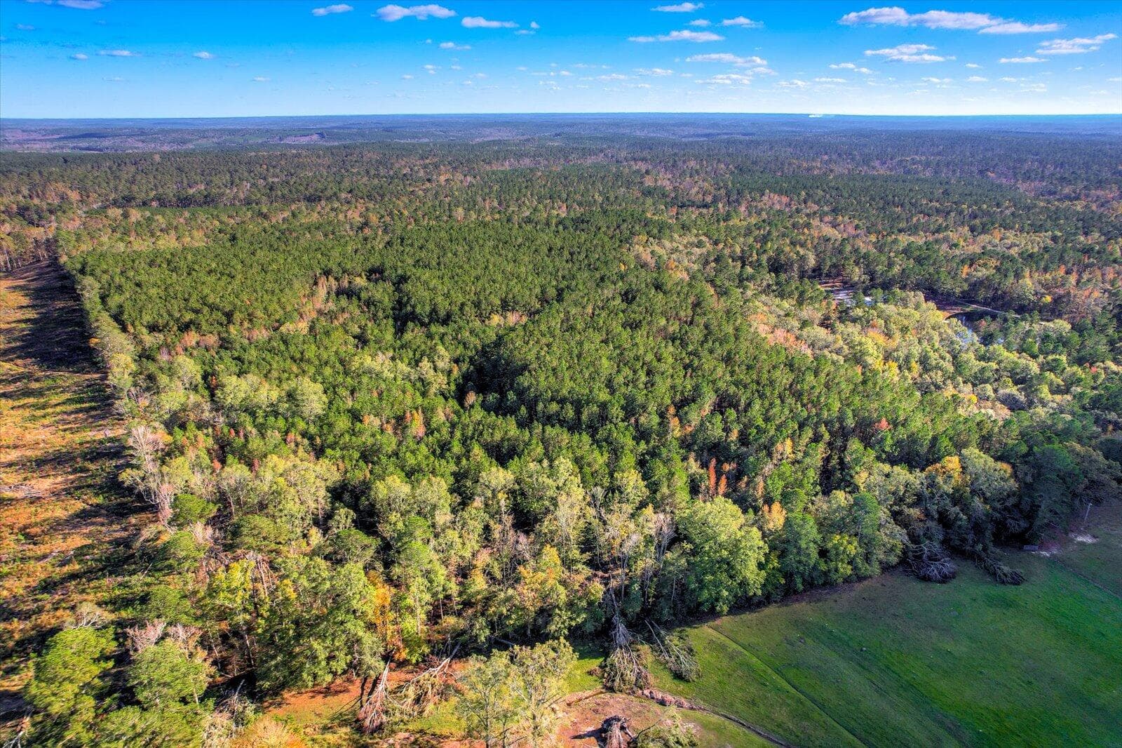 Undeveloped at Tbd2 Sc-23, Edgefield, SC 29824, photo 6 of 41