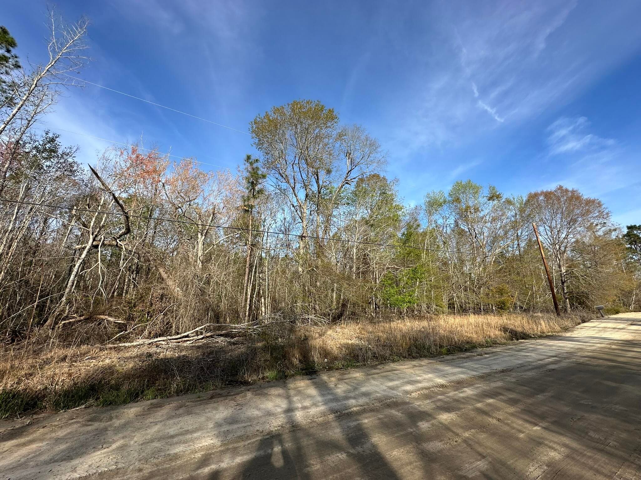 Residential Lot at Lot 12 Robin Boulevard, Swainsboro, GA 30401, photo 3 of 11