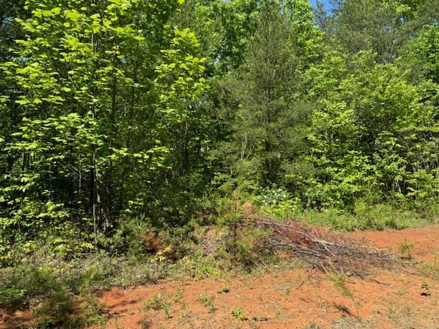 Land at Lot 11 Paradise, Marble, NC 28905, photo 3 of 6