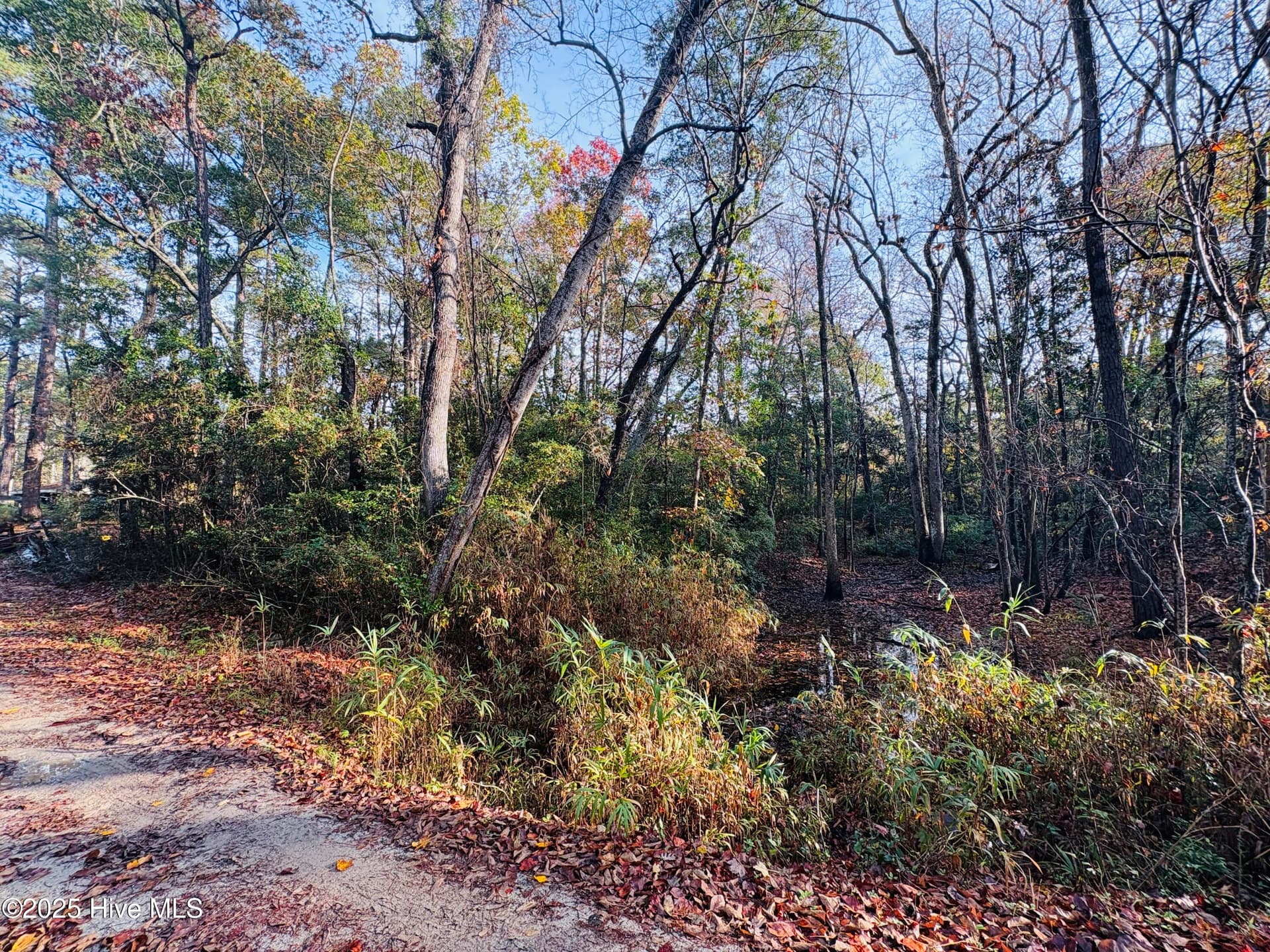 1574 Hollywood Street SW, Shallotte, NC 28470