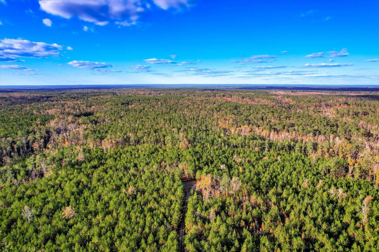 Undeveloped at Tbd2 Sc-23, Edgefield, SC 29824, photo 29 of 41