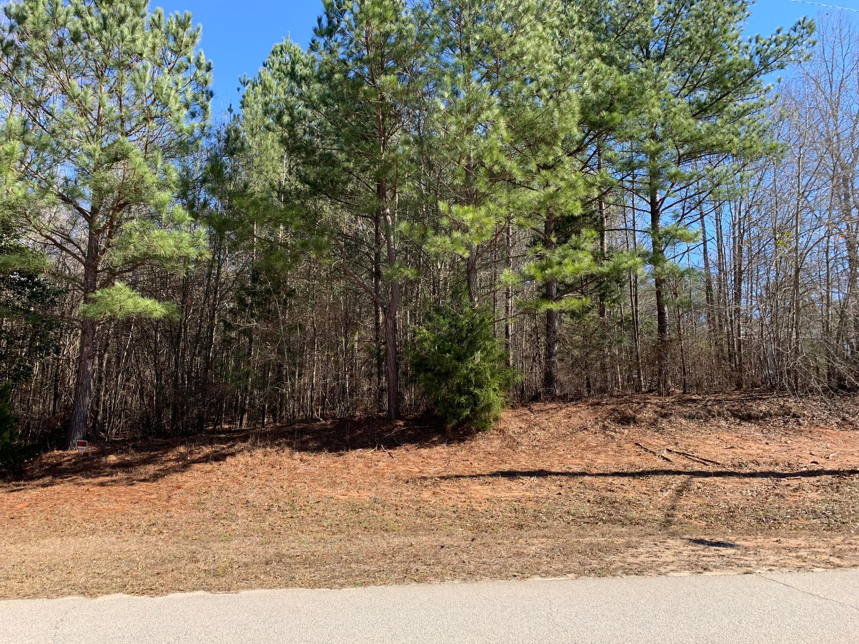 822 Matts Lane, Harlem, GA 30814