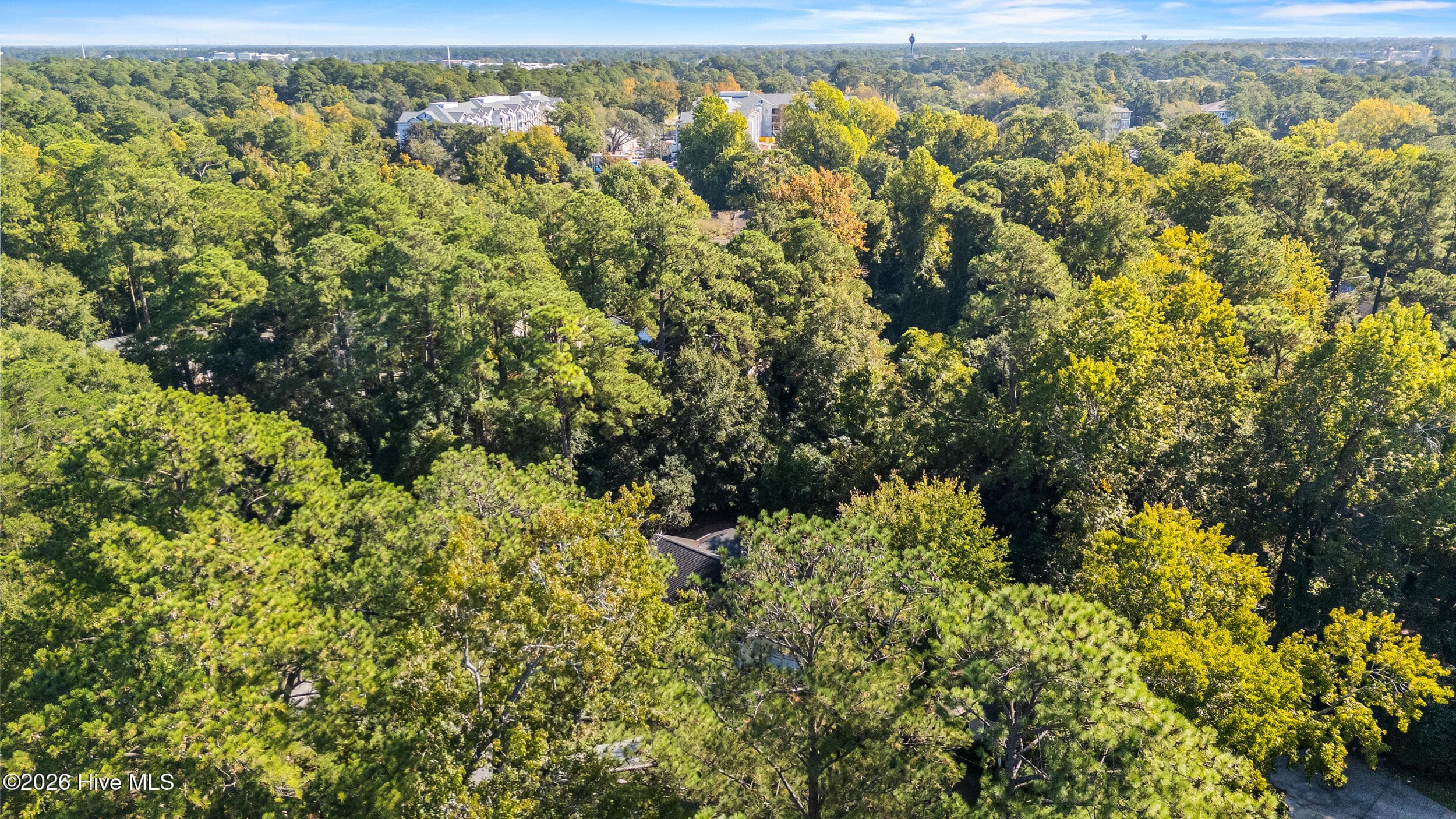 No HOA and close to UNCW - 537 Bonham Avenue, Wilmington, NC 28403