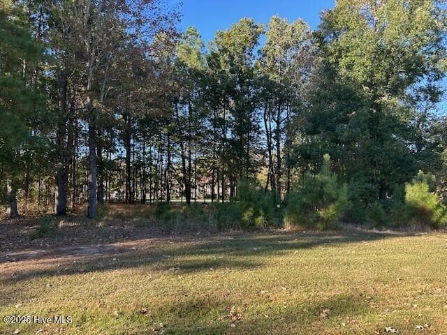 Another View - Lot 14 N 14N Cape Fear Drive, Hertford, NC 27944