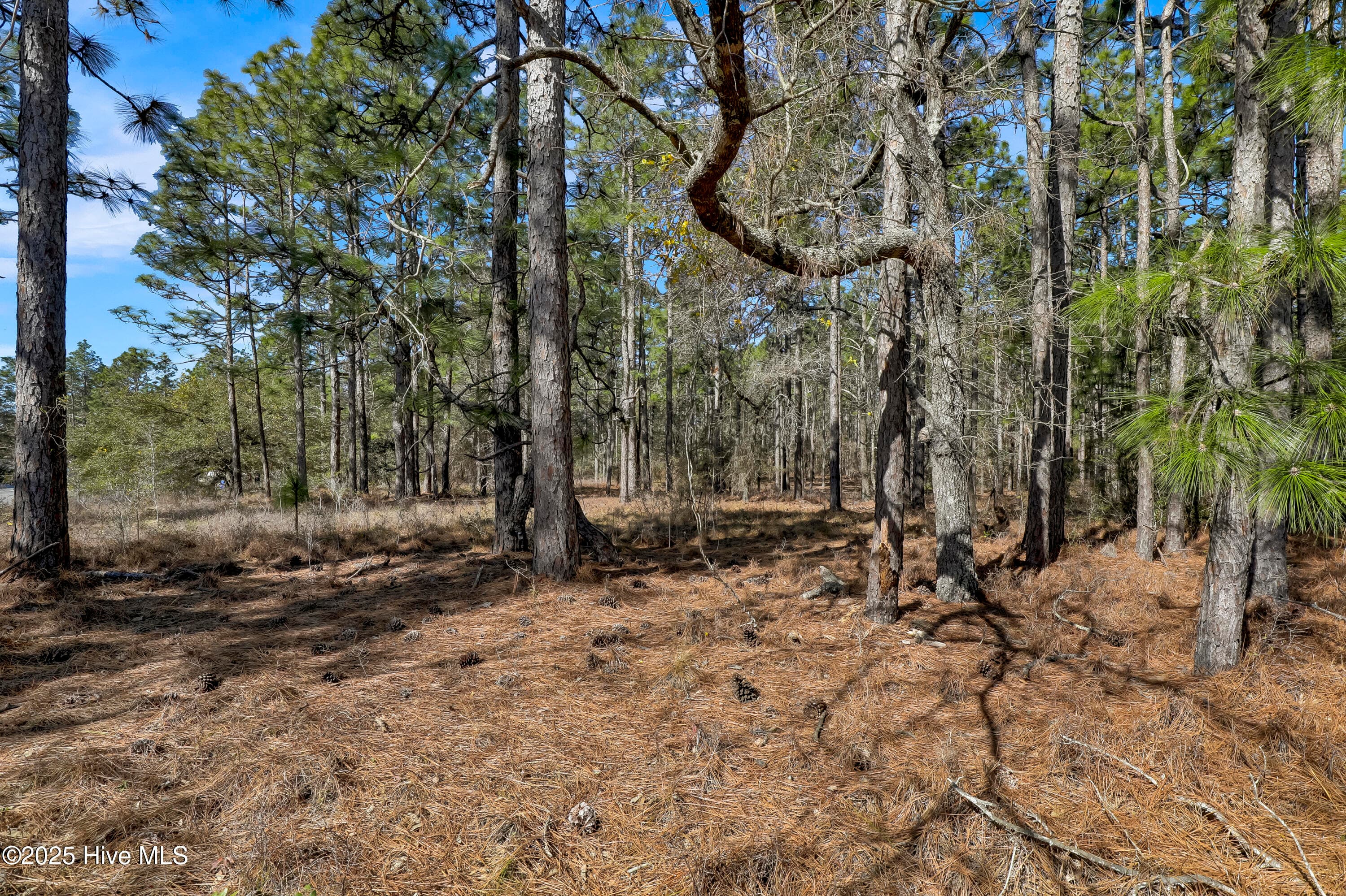 Industrial at Tbd Sand Ridge Road, Hubert, NC 28539, photo 12 of 12