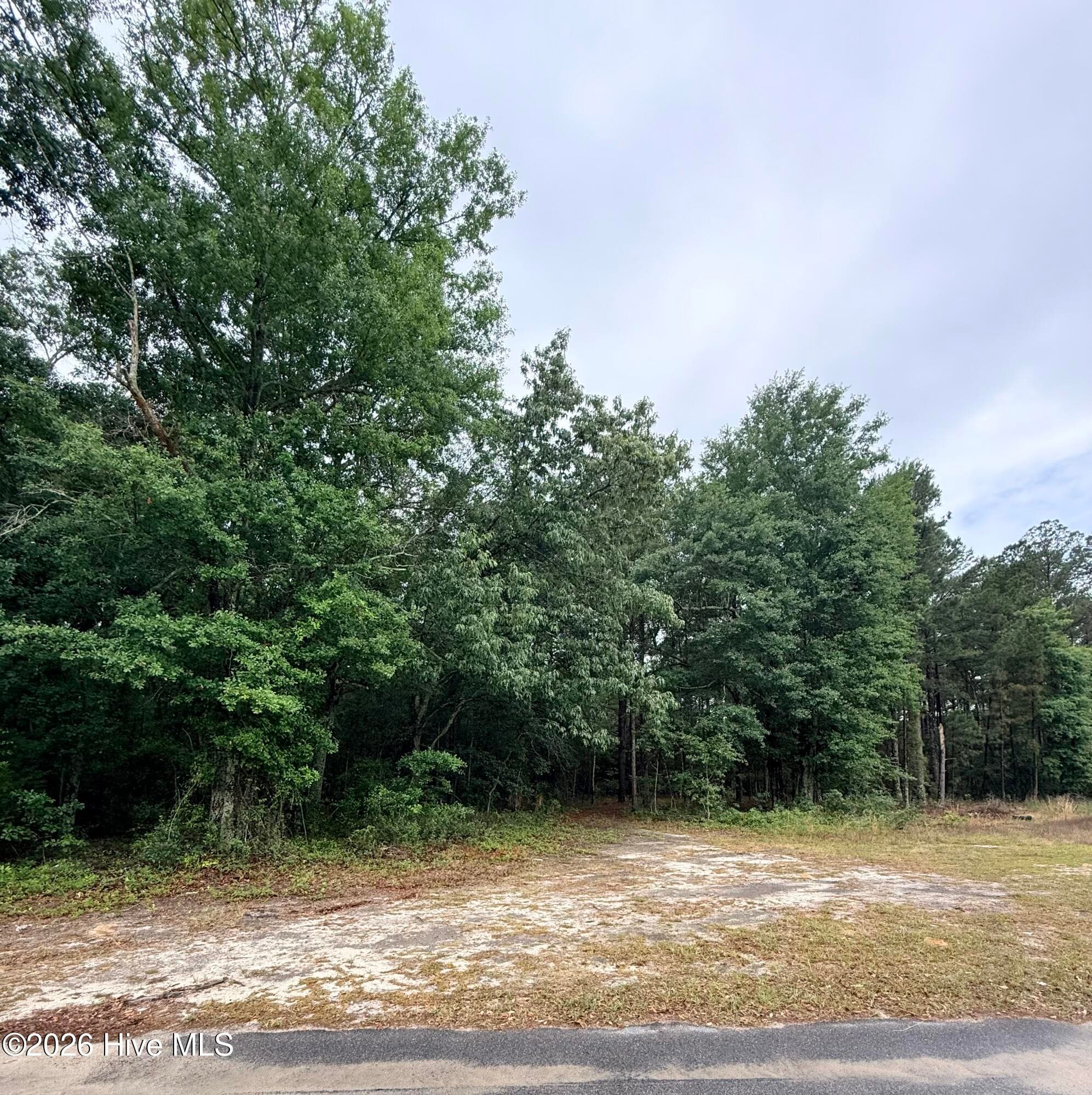 Wooded at 0 Alma Drive, North, SC 29112, photo 6 of 6