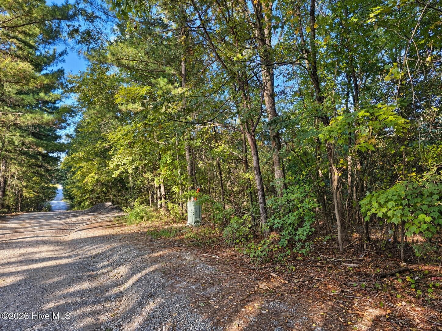 Tyler Lane borders the entire left side of lot, and Goldmine creates the rear boundary - 0 Spies Road, Robbins, NC 27325