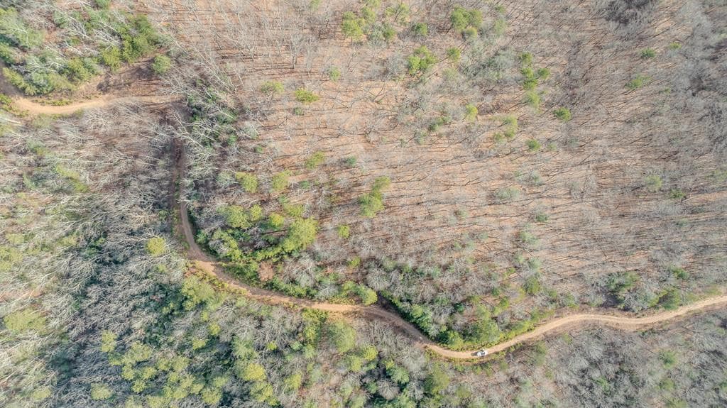 Land at 2.57 Scottie Mountain Circle, Murphy, NC 28906, photo 6 of 11