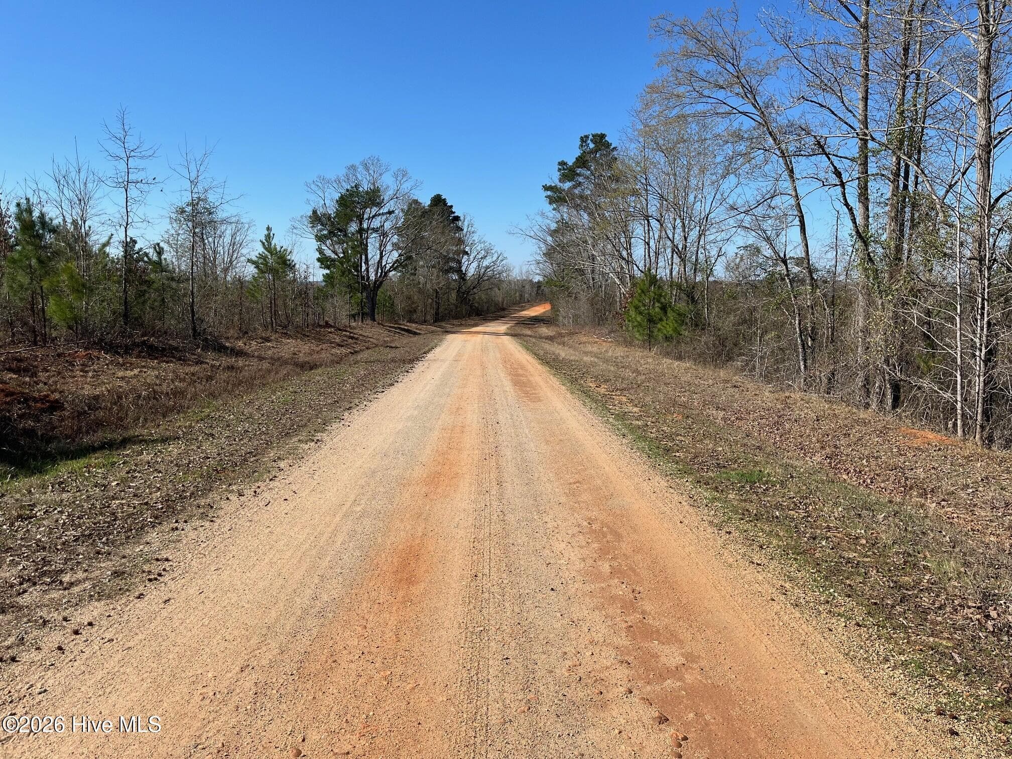 Undeveloped at 355.7 Horseshoe Road, Rockingham, NC 28379, photo 6 of 11