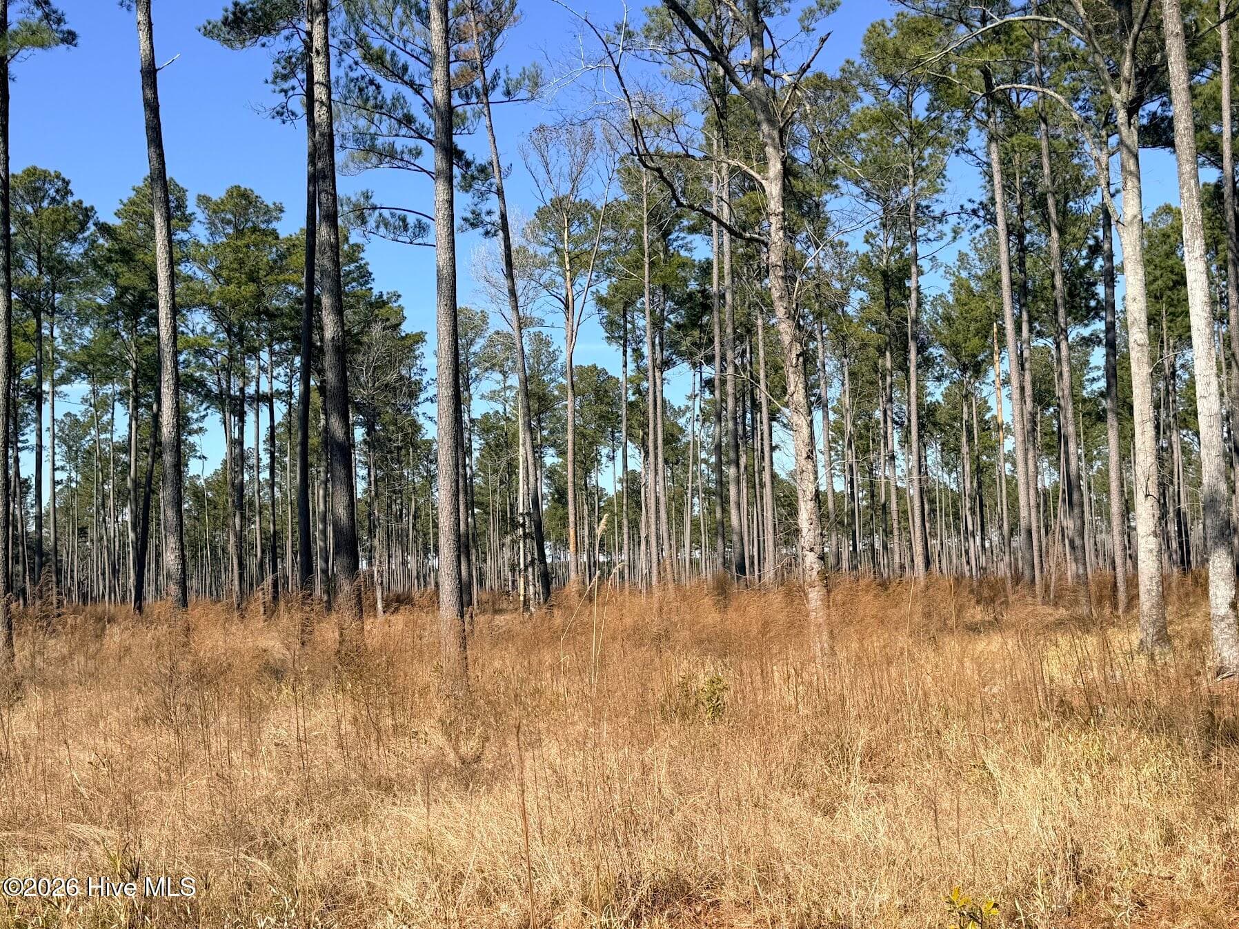 0 Sr 1119 Off, Chocowinity, NC 27817