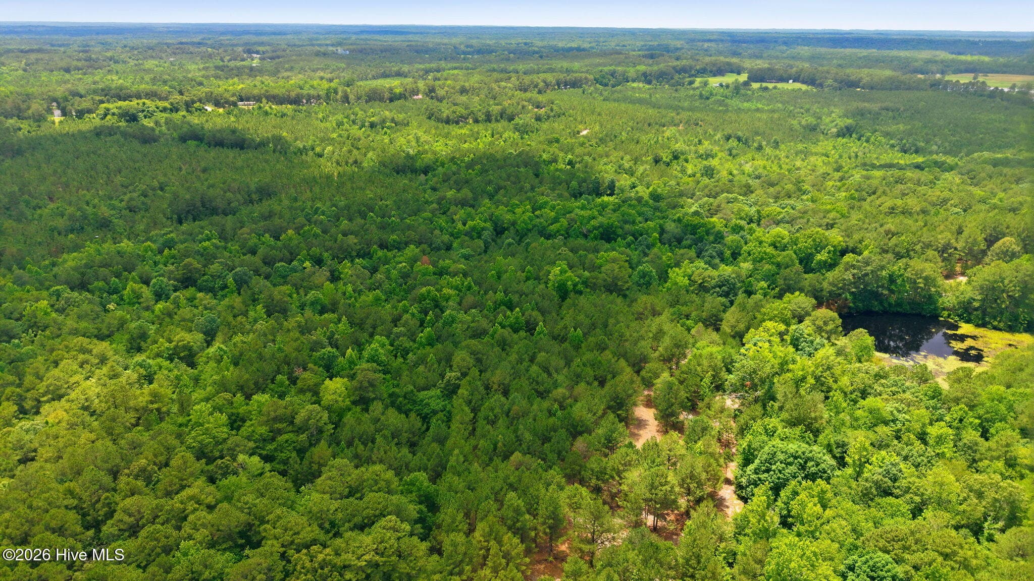Wooded at 329 Cypress Farm Road, Cameron, NC 28326, photo 4 of 13