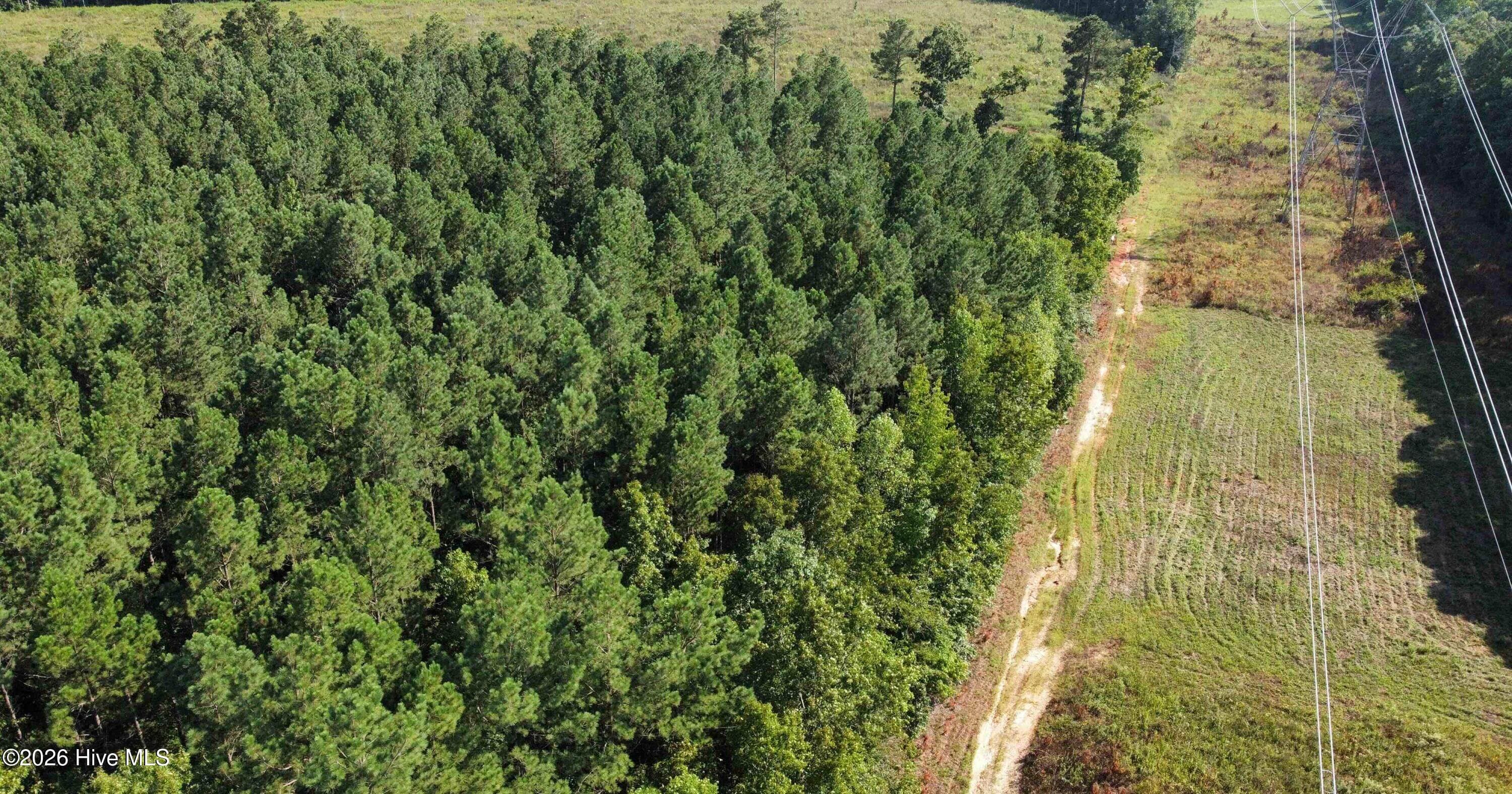 Residential Lot at 0 Richardson Road, Warrenton, NC 27589, photo 6 of 10