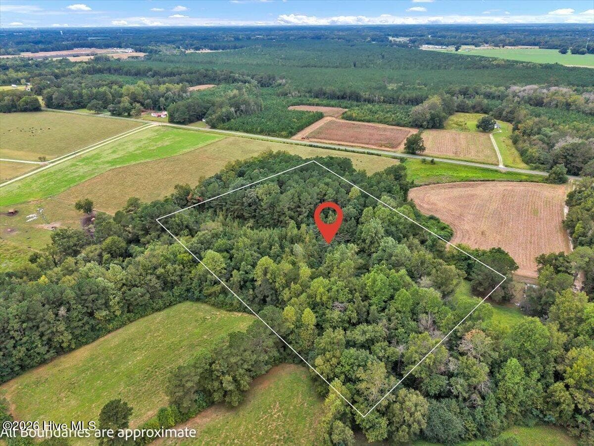 Undeveloped at 0 Dewitt Gooden Road, Elizabethtown, NC 28337, photo 6 of 8
