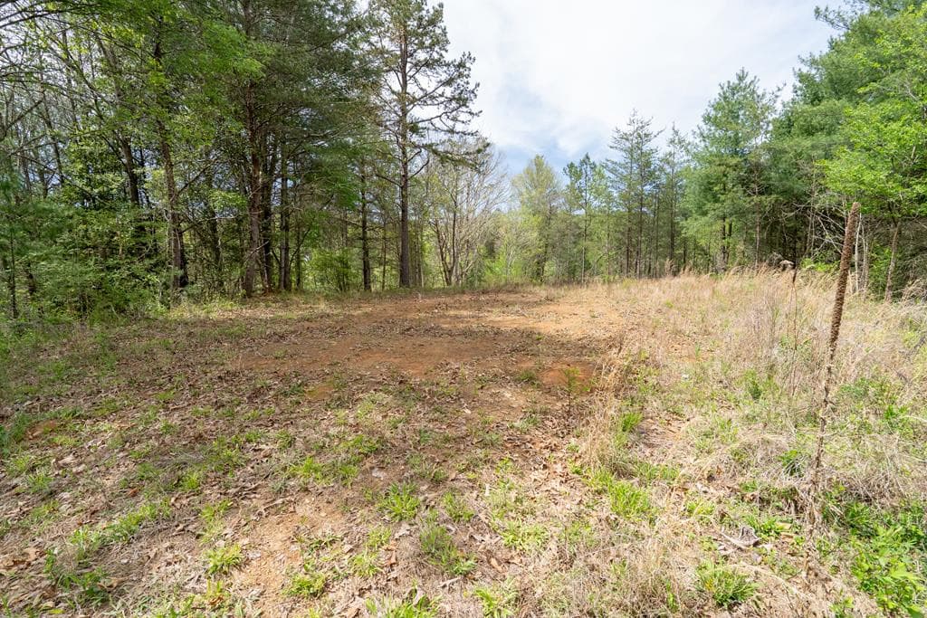 Wooded at 125 Milk And Honey Drive, Murphy, NC 28902, photo 21 of 23