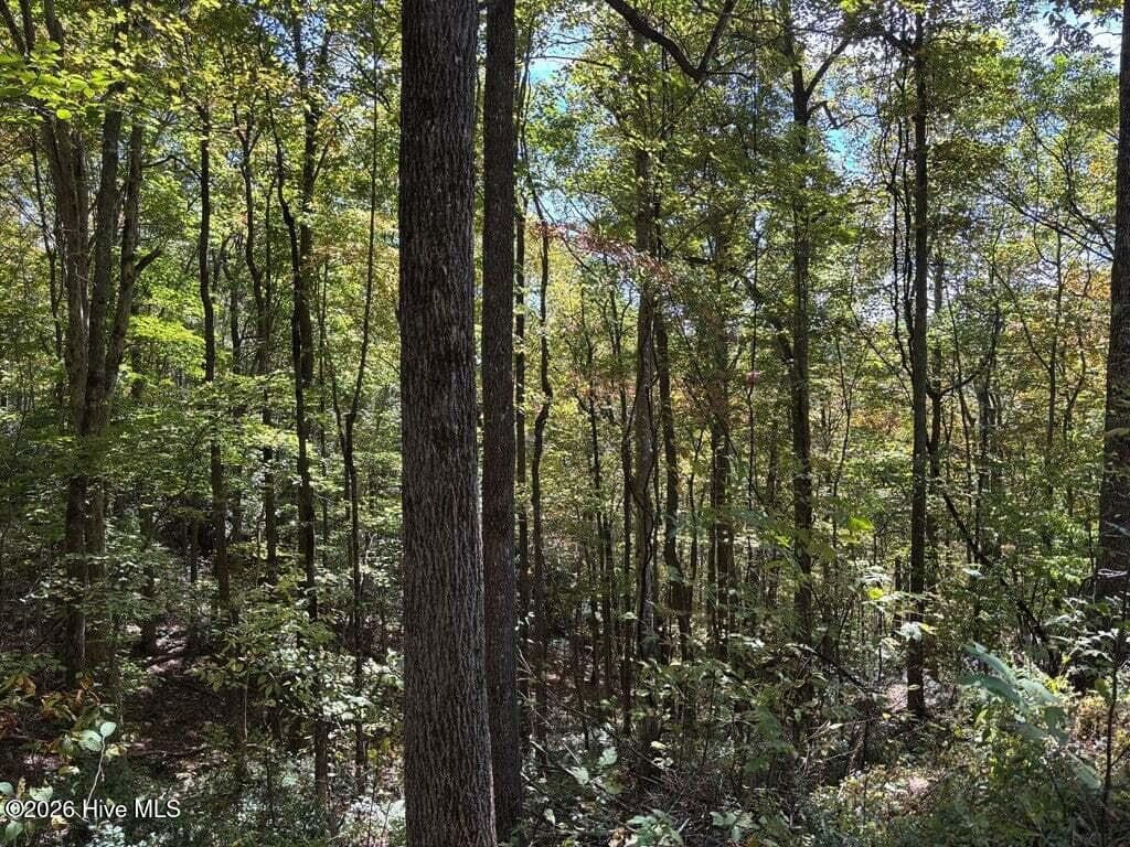 Residential Lot at 2 Holly Ridge Drive, Topton, NC 28781, photo 3 of 3