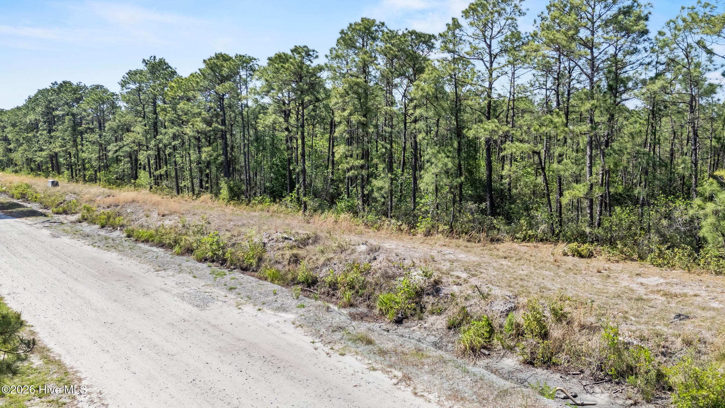 Mixed Use at Lot #267 267 Plantation Road, Wilmington, NC 28411, photo 8 of 16