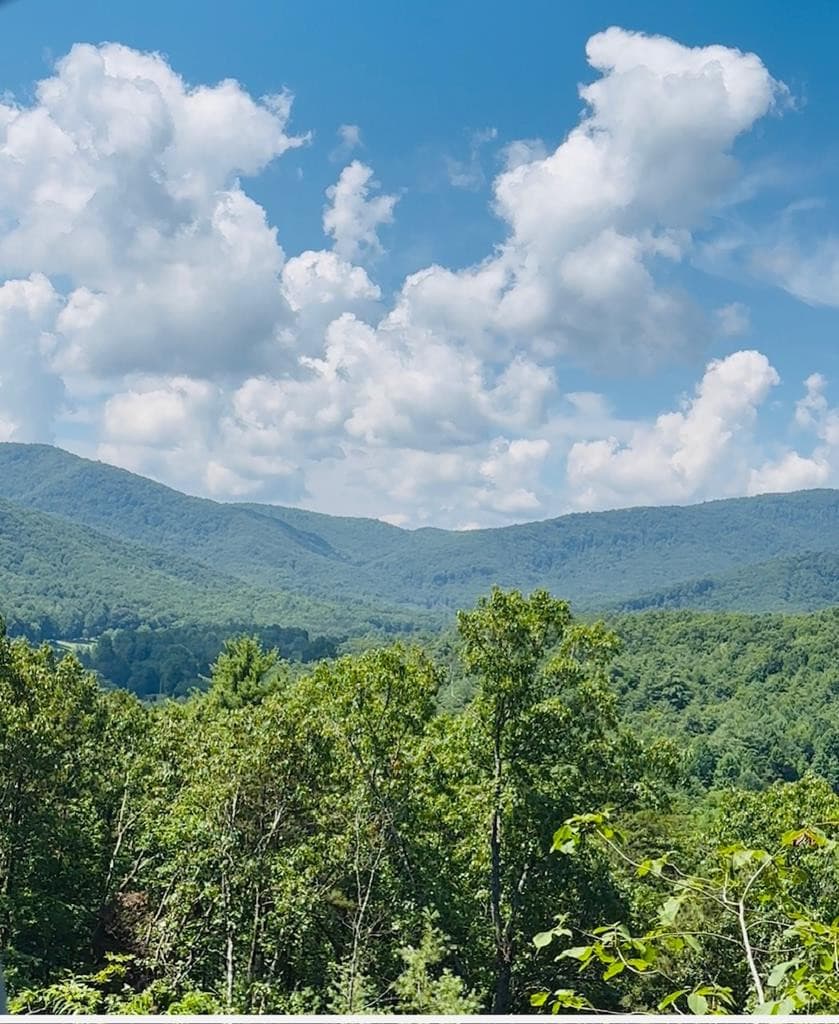 Community View while driving up to the lot - Lot 14 14 View Ridge Trail, Murphy, NC 28906