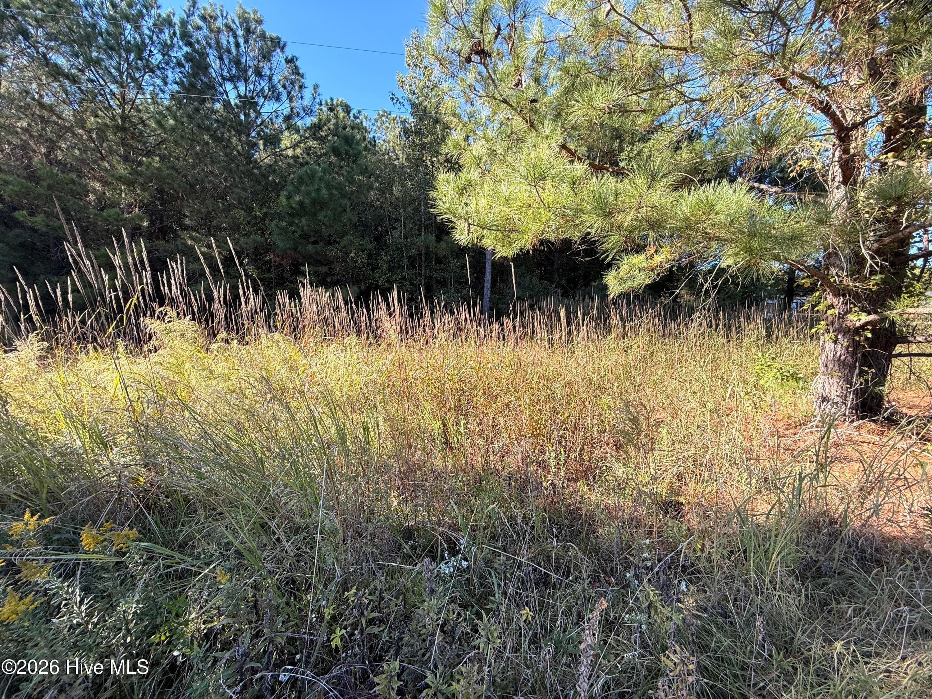 3840 Ellis Drive, Farmville, NC 27828